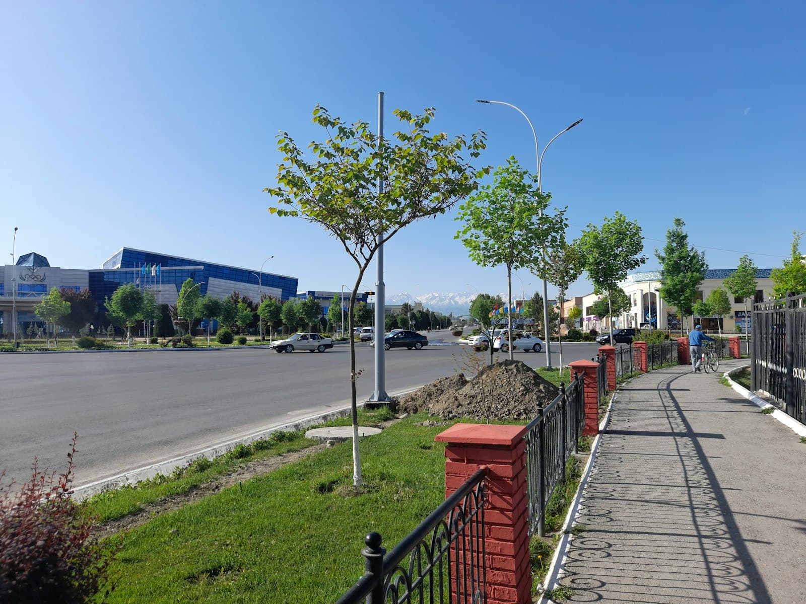 Fergana — a street lined with lots of green grass next to a road