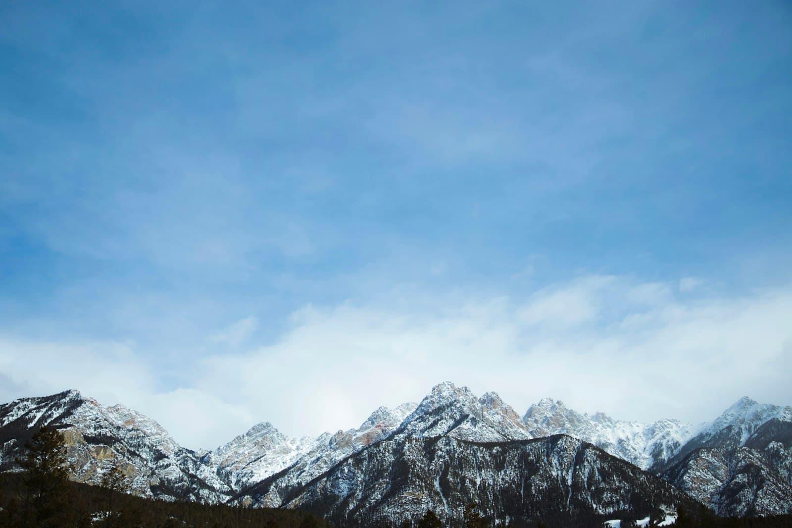 Fernie — snow covered mountains under clear sky