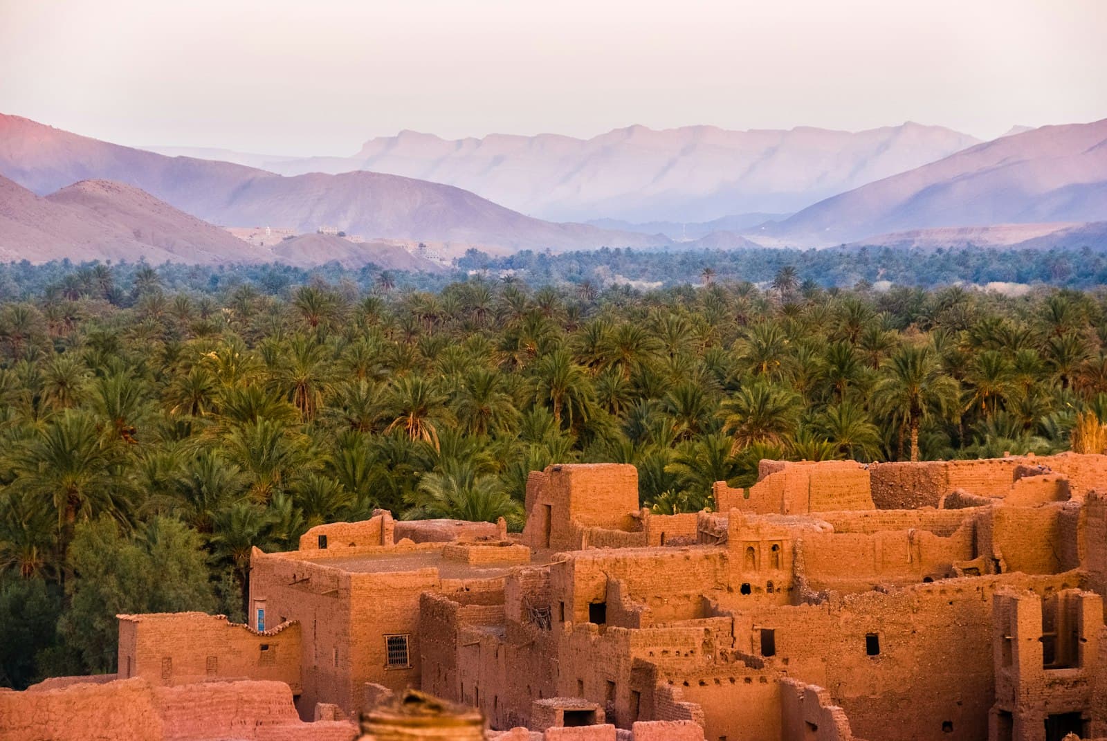 Fez — concrete houses surrounded by trees