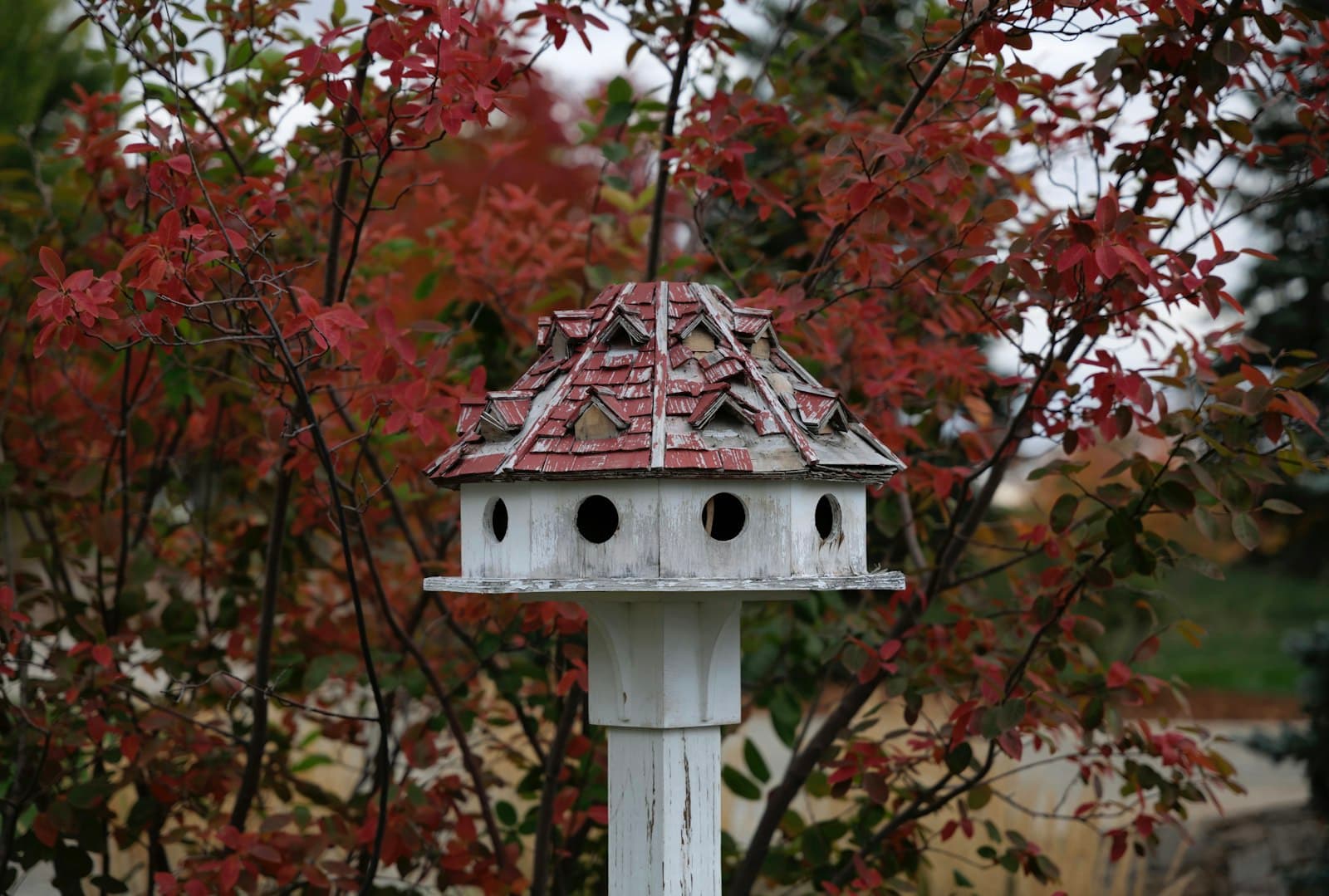 Fort Collins — a birdhouse with a bird house