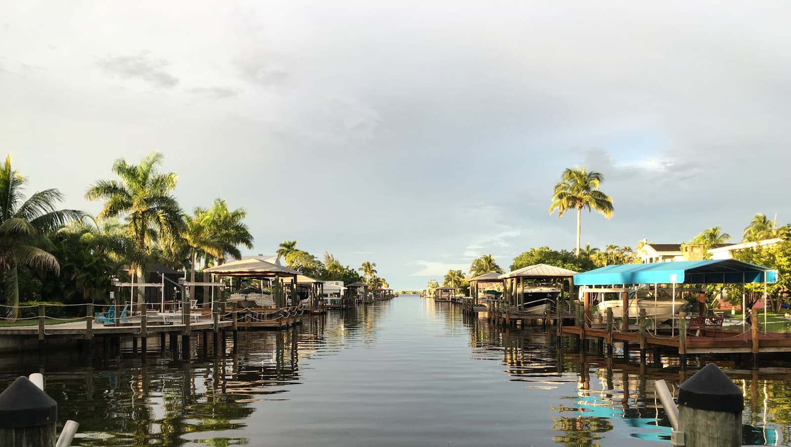 Fort Myers — green palm trees near body of water during daytime