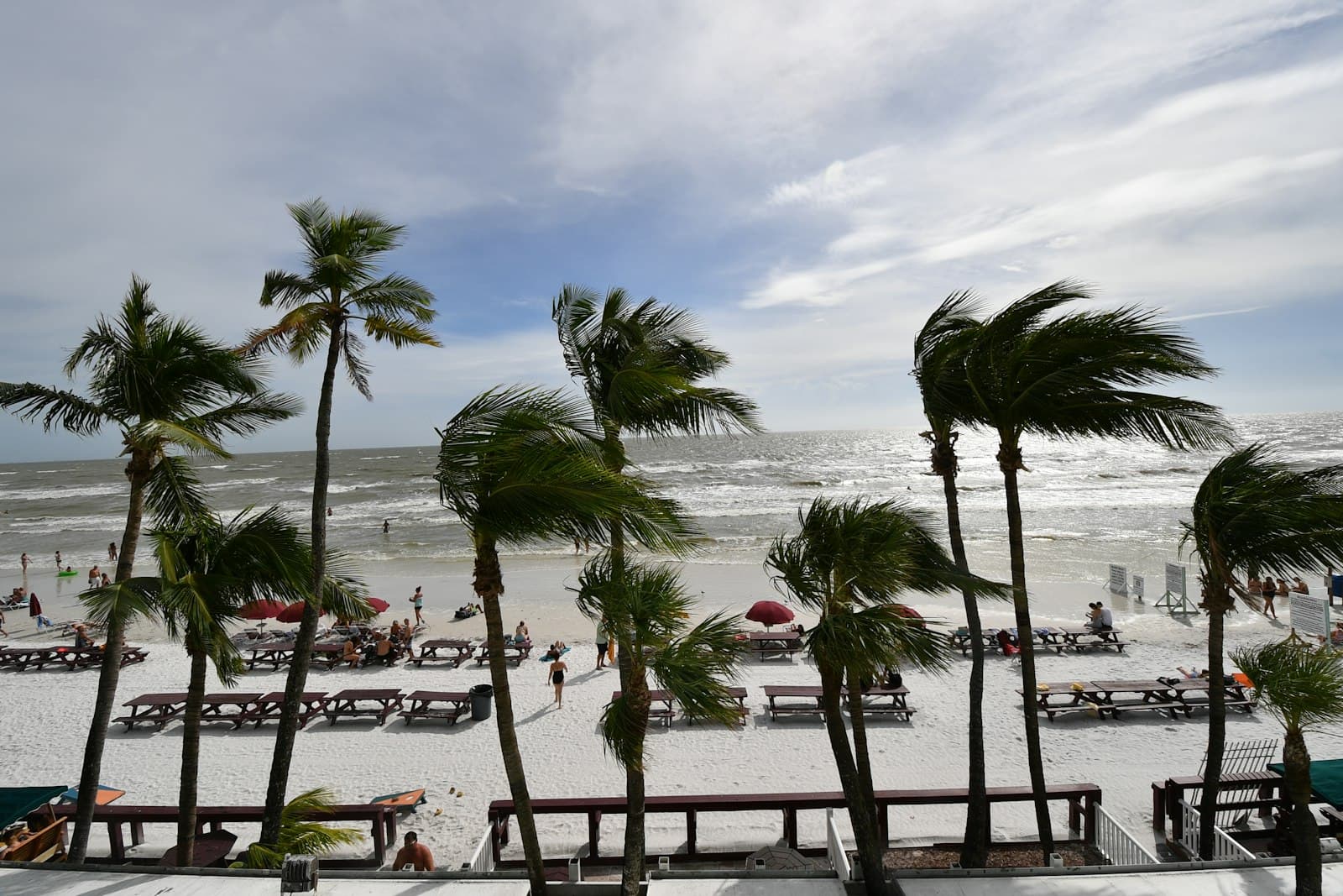 Fort Myers — a view of a beach with palm trees