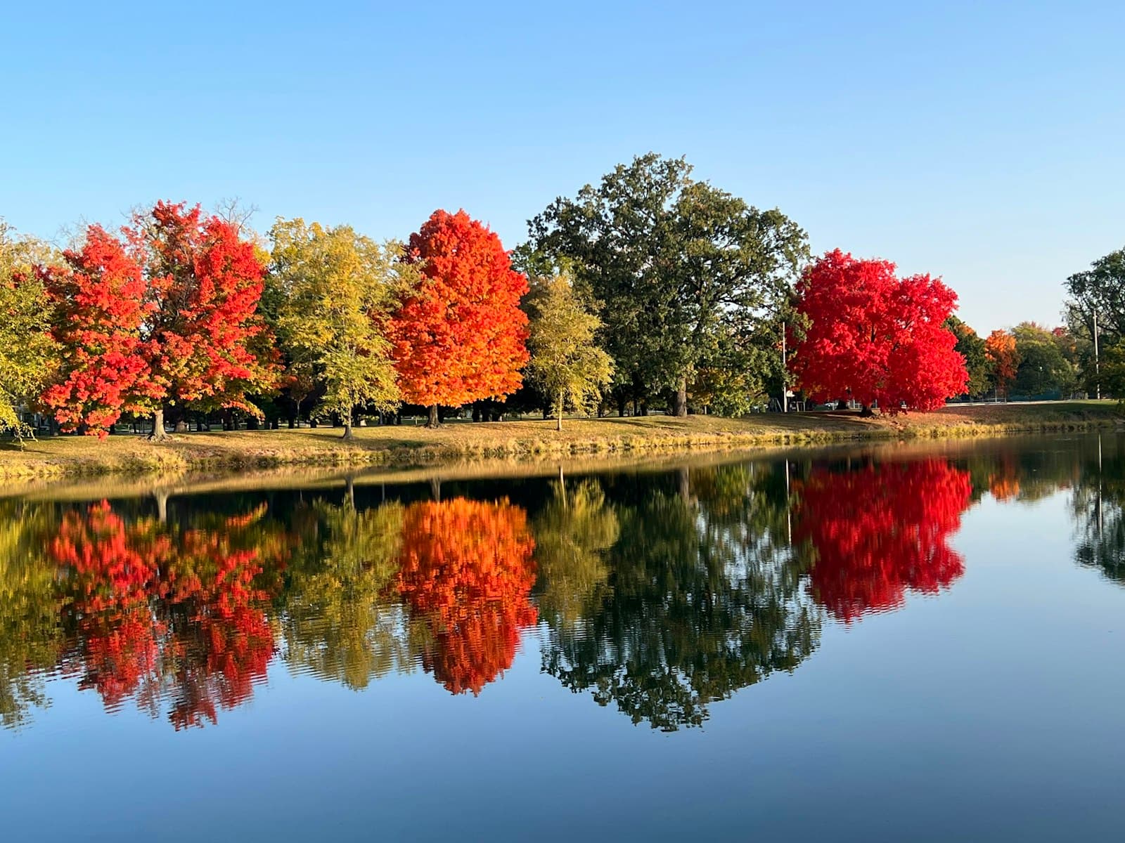 Fort Wayne — a body of water with trees around it