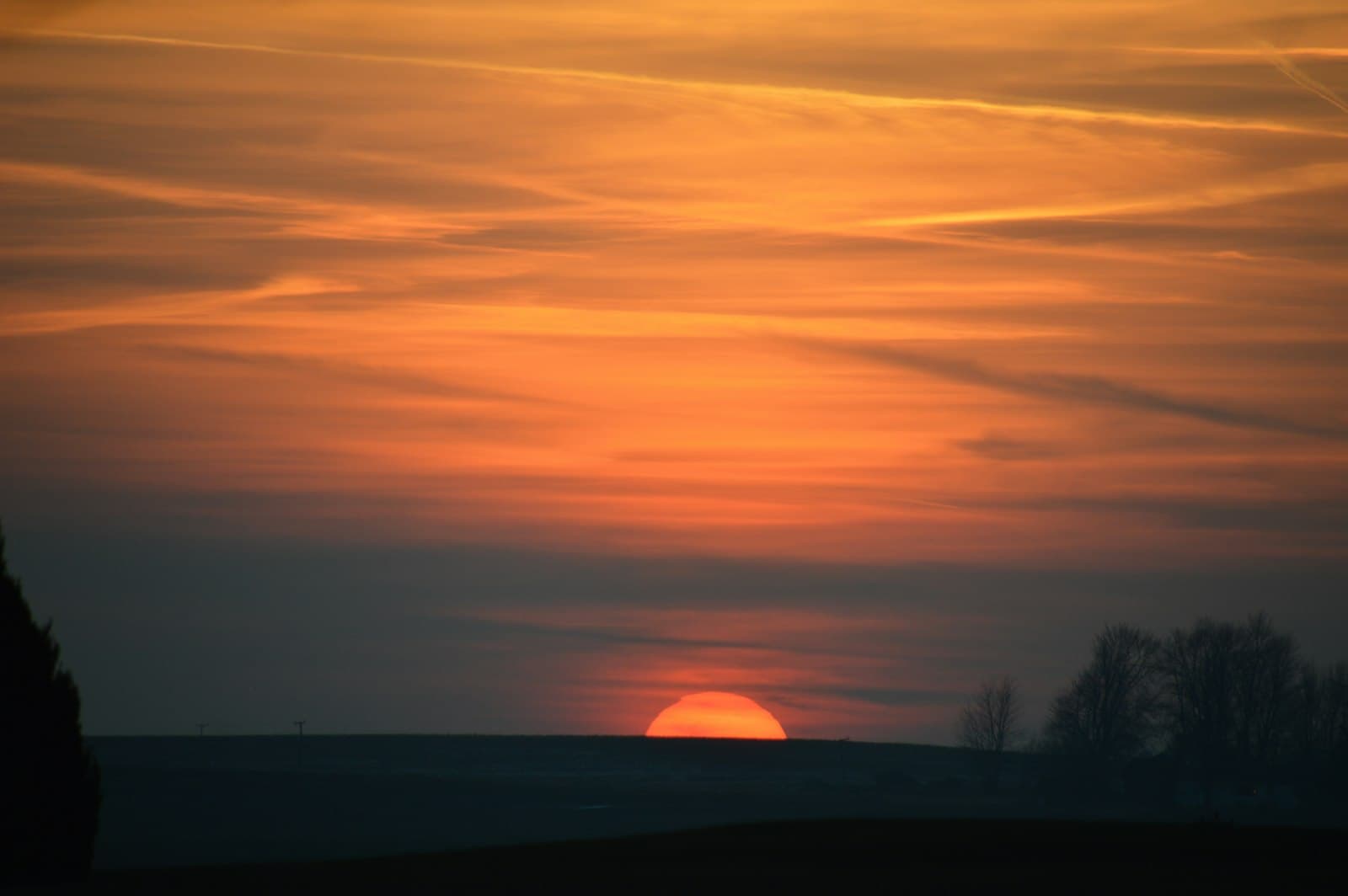 Freeport — silhouette of trees during sunset