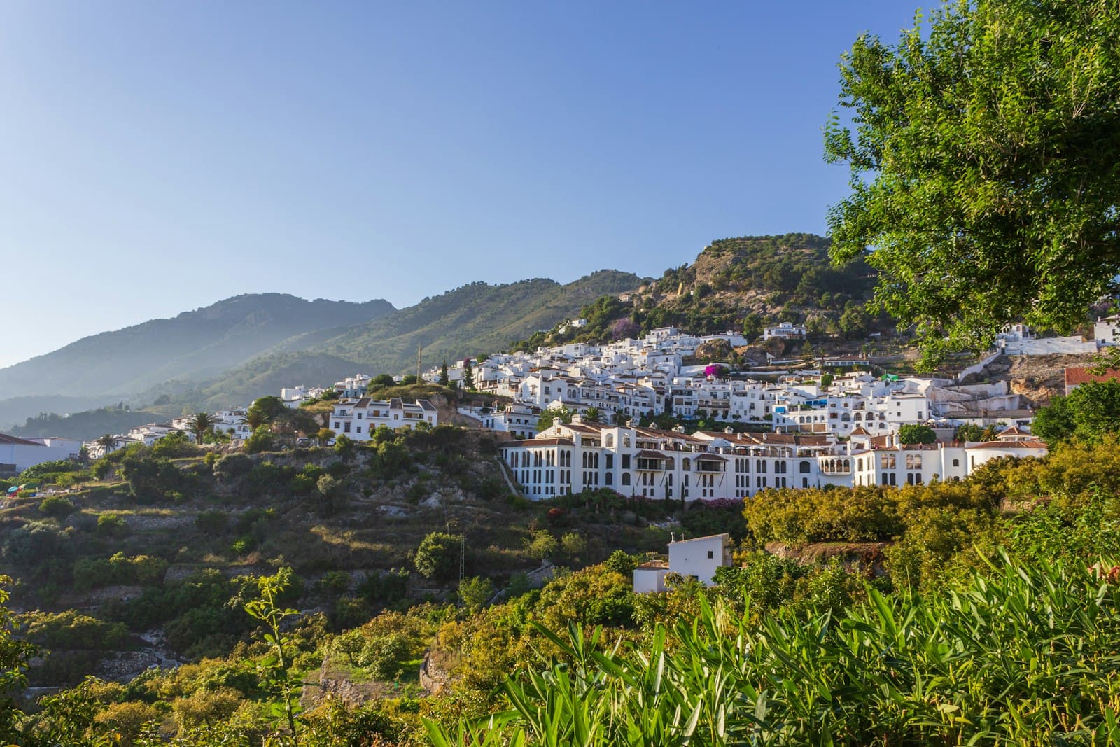 Frigiliana — green trees near white concrete building during daytime