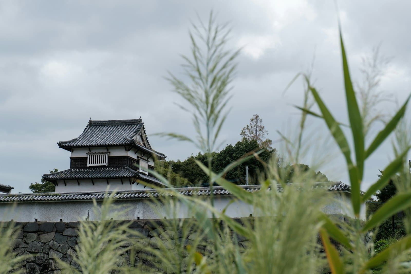 Fukuoka — a building with a tower and trees in front of it