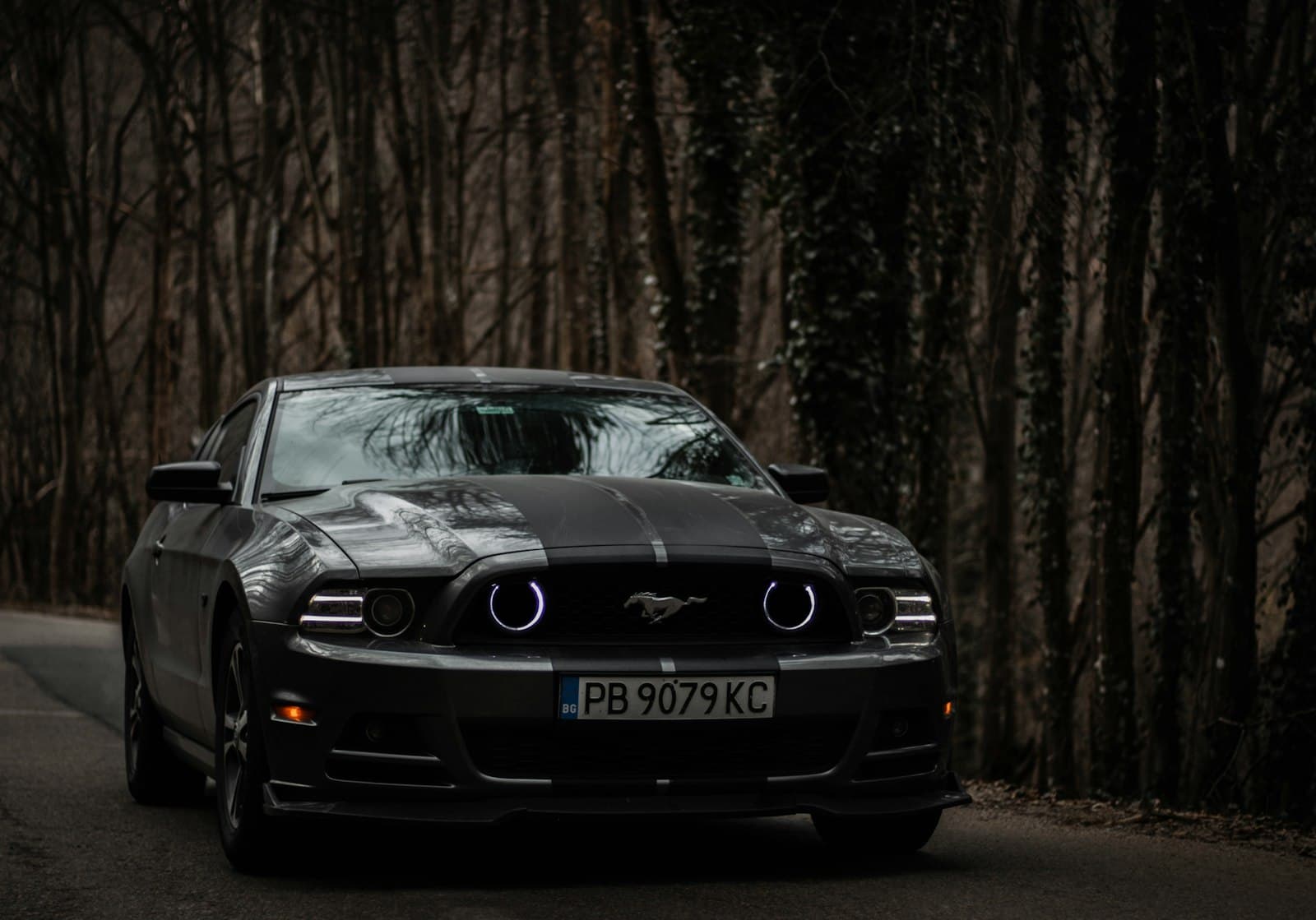 Gabrovo — a black mustang parked on the side of a road