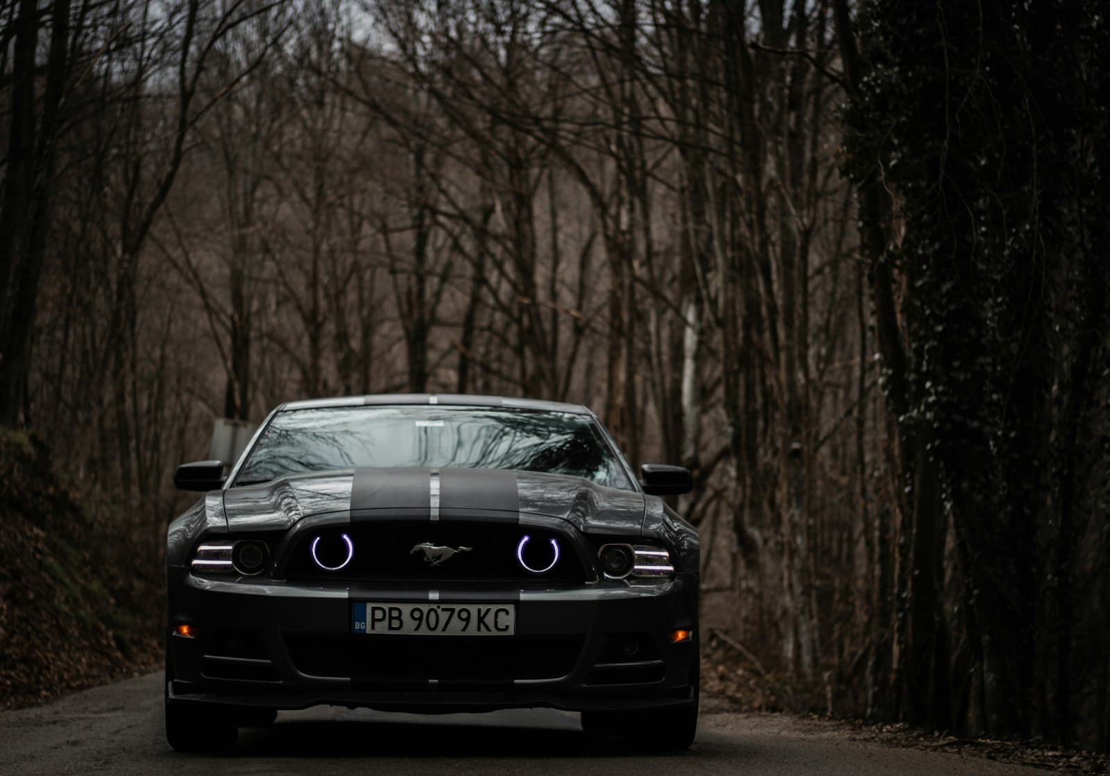 Gabrovo — a car driving down a road with trees in the background