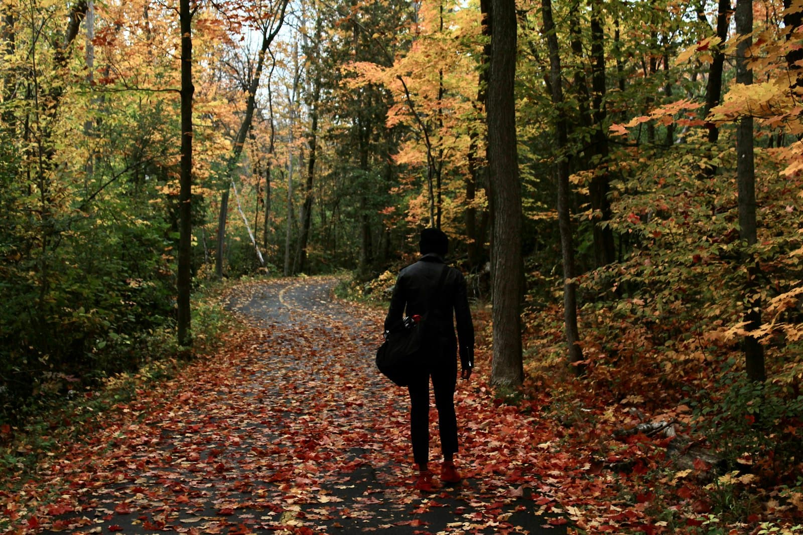 Gatineau — a person walking down a path in the woods