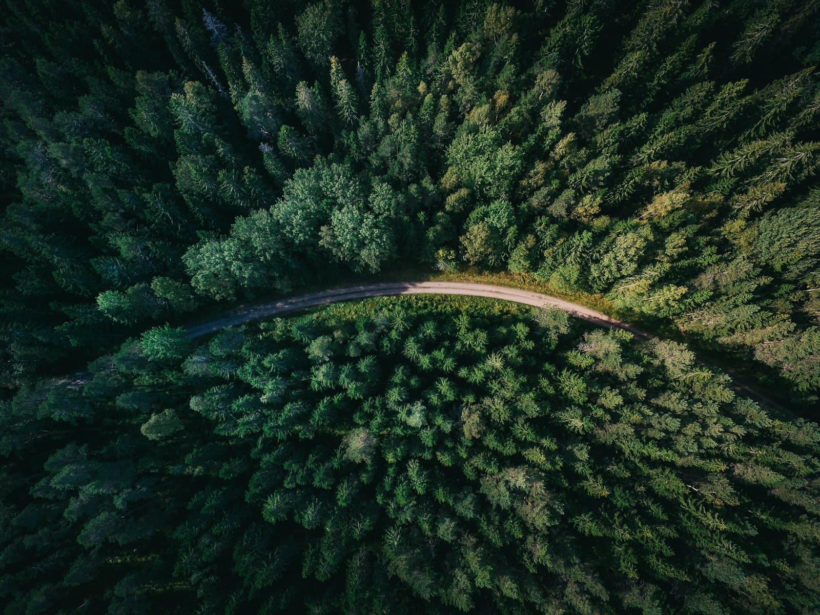 Gävle — aerial shot of road surrounded by green trees