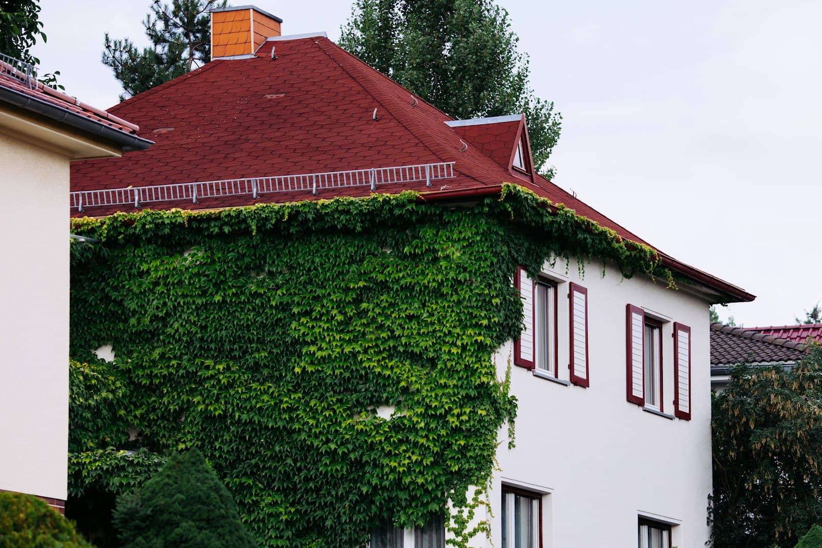 Gera — a house covered in vines with a red roof