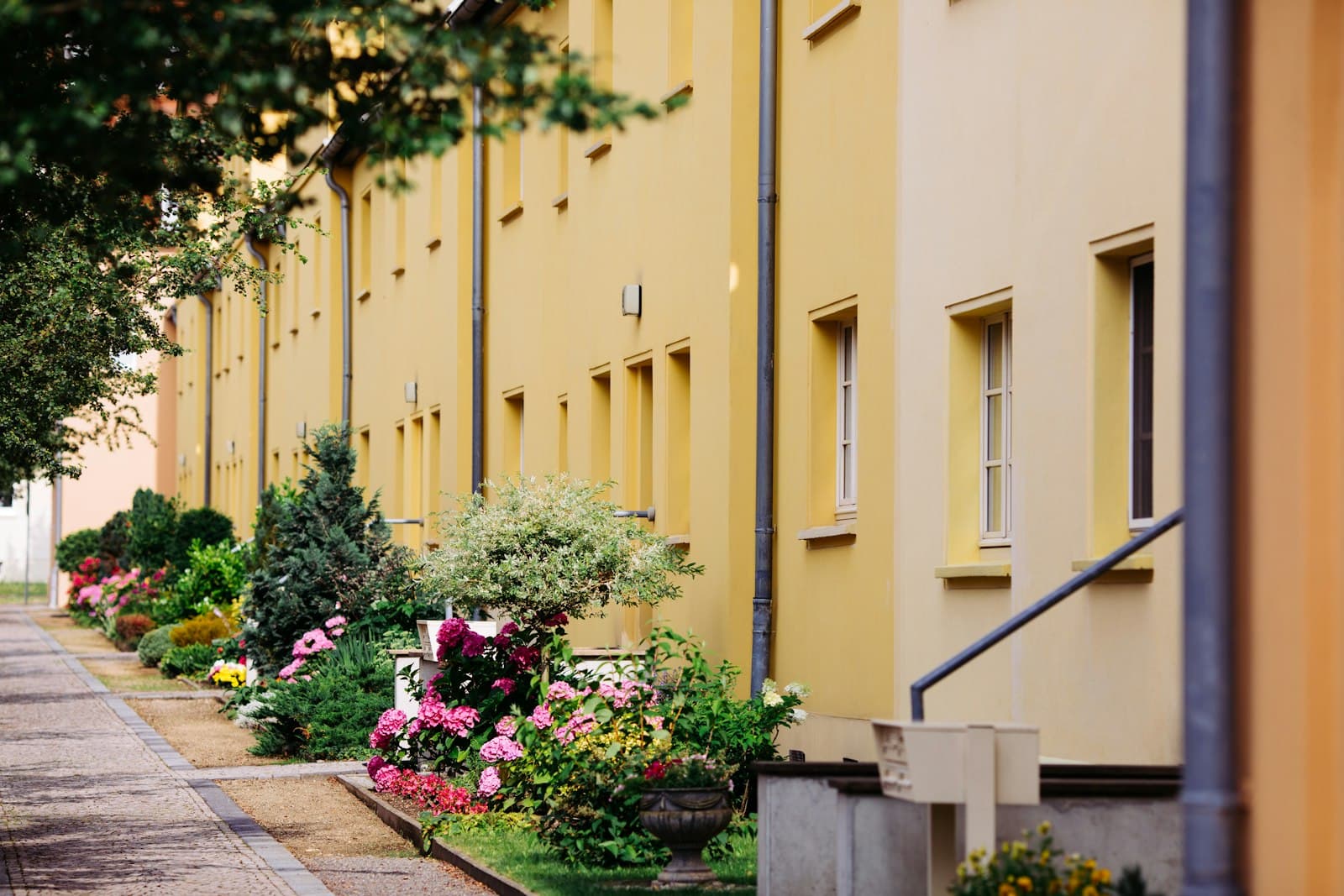 Gera — a row of yellow buildings with flowers in front of them