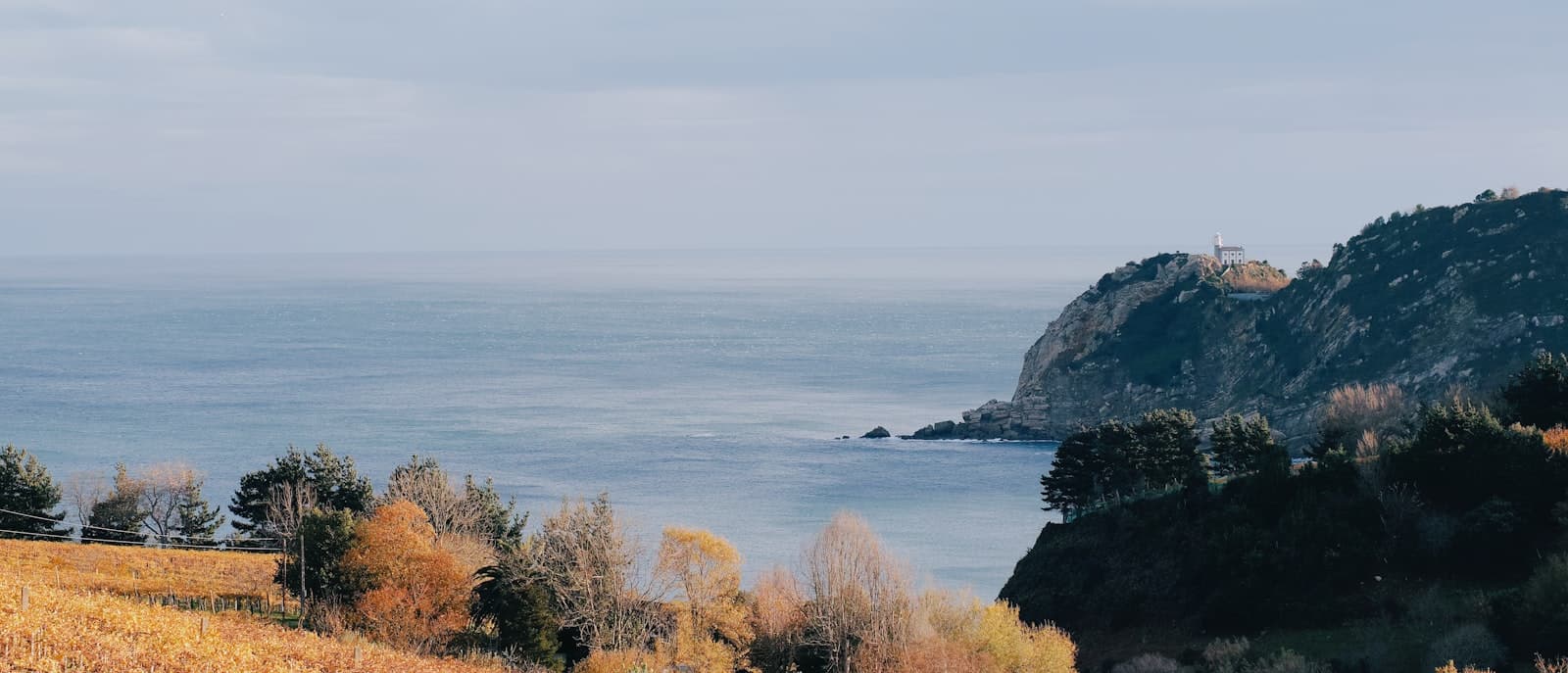 Getaria — trees and grass field and sea in distant
