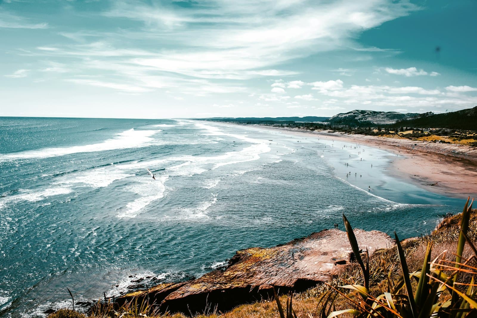 Gisborne — green grass on seashore during daytime