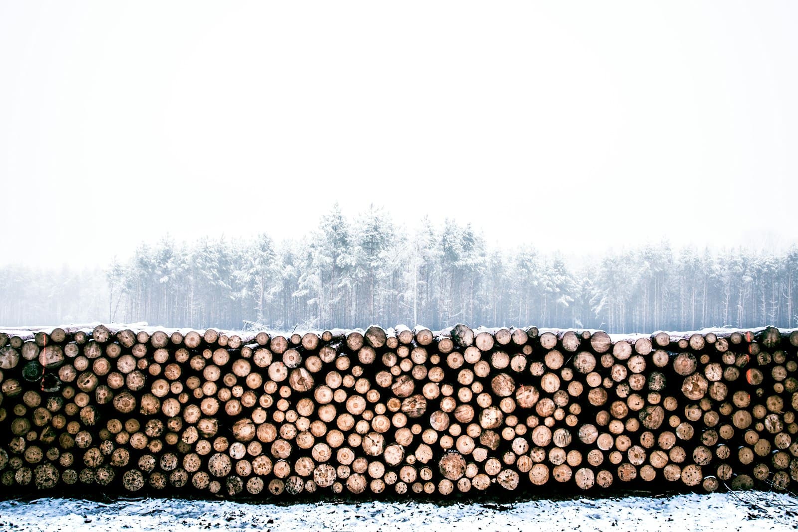 Gliwice — firewood lot