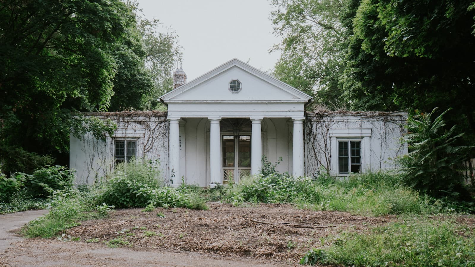 Grand Rapids — trees beside concrete house