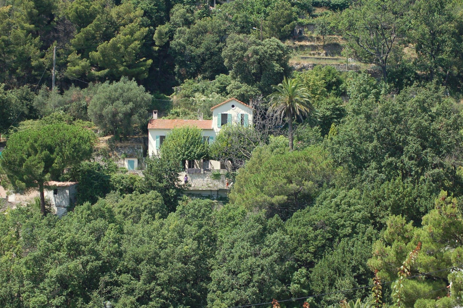 Grasse — white and brown concrete house surrounded by green trees during daytime