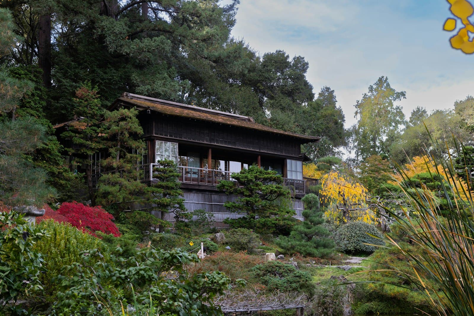 Green Bay — A picture of a house in the woods