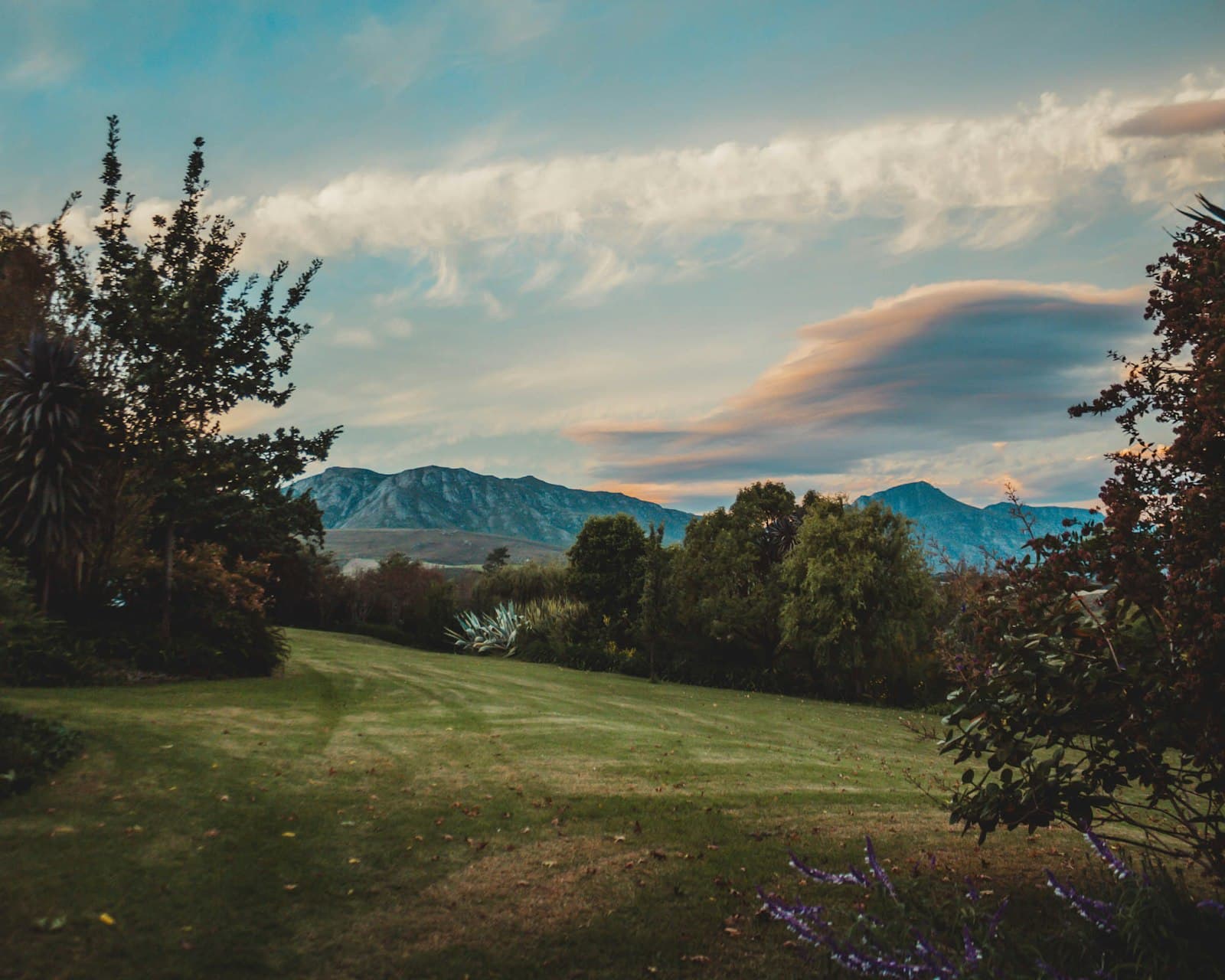 Greyton — green grass field with trees and mountains in the distance