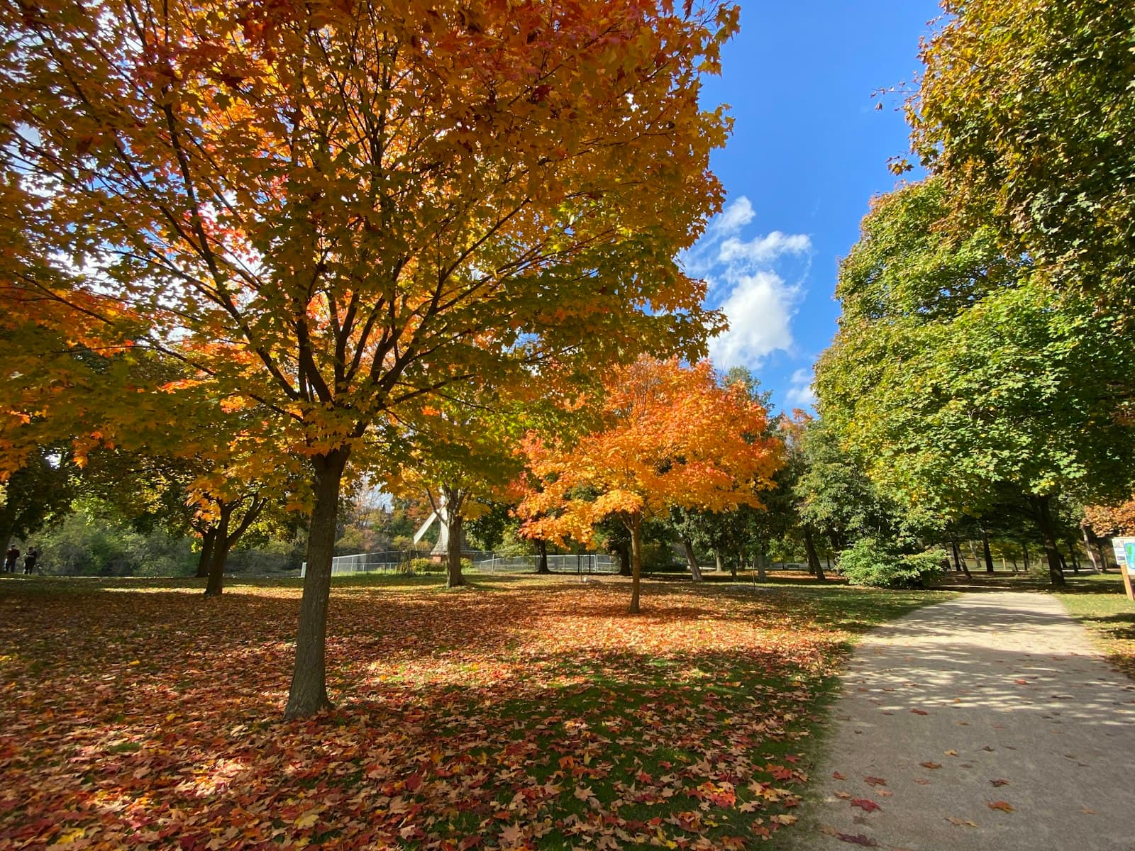 Guelph — a path in a park with lots of leaves on the ground