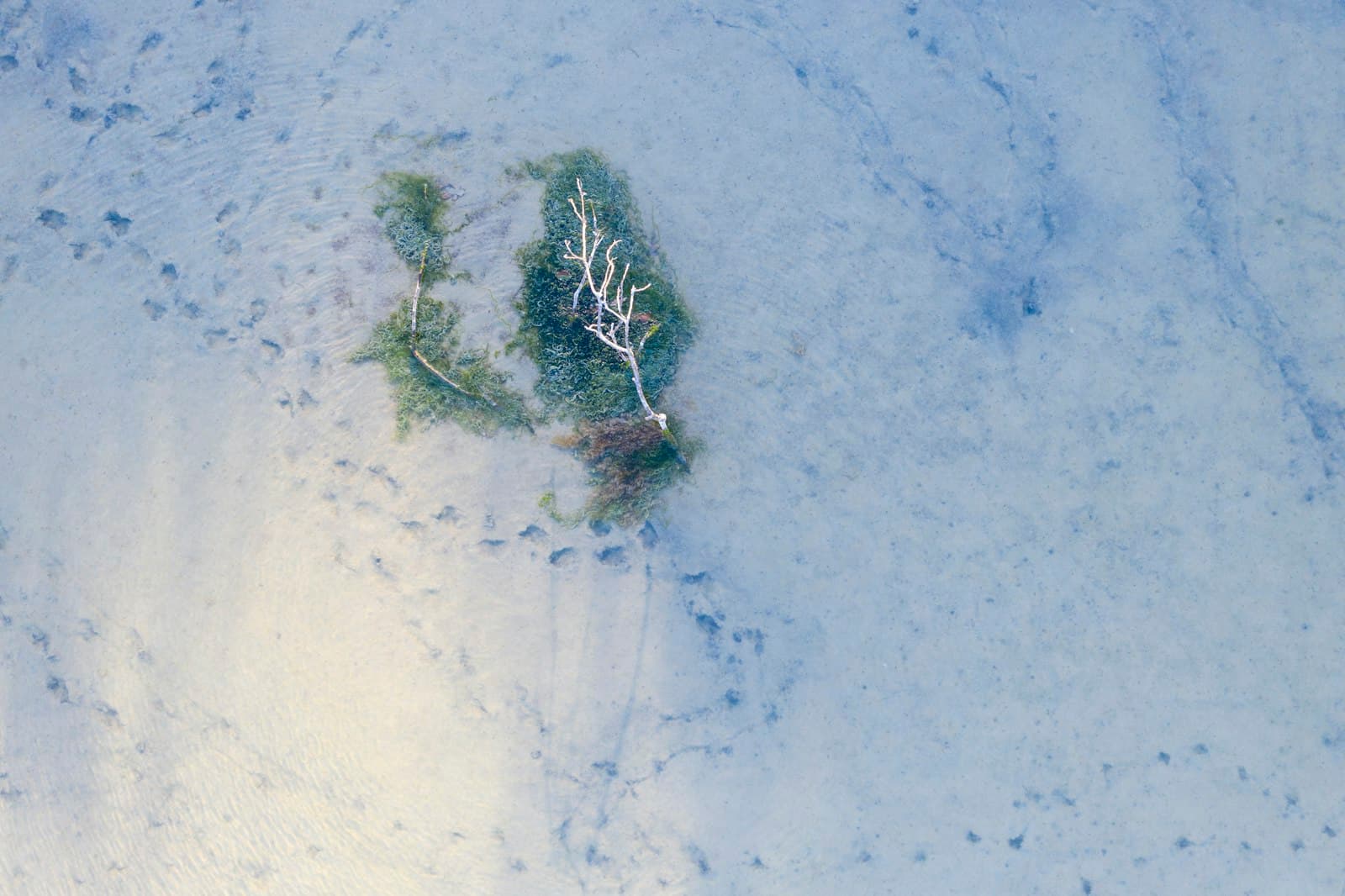 Guérande — white snow