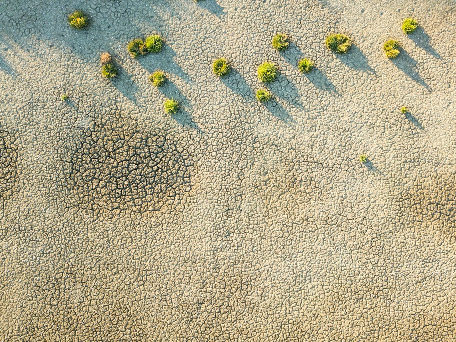 Guérande — an aerial view of a sandy area with small trees