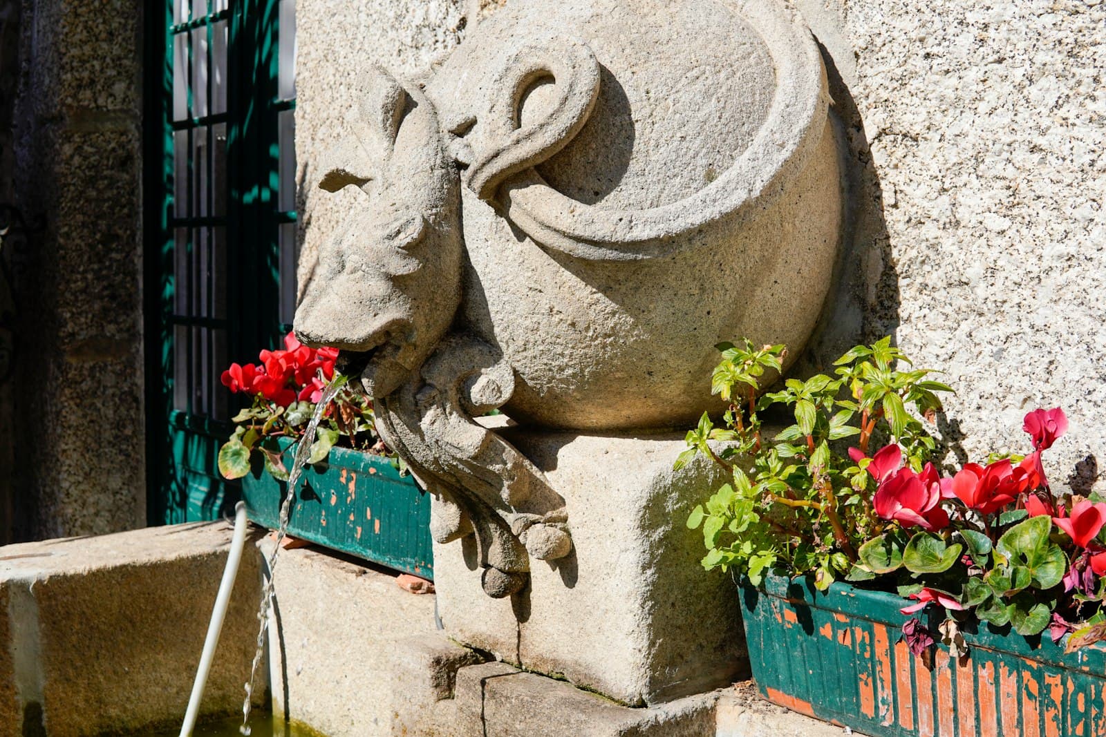 Guimarães — a statue of a horse with flowers in a window box