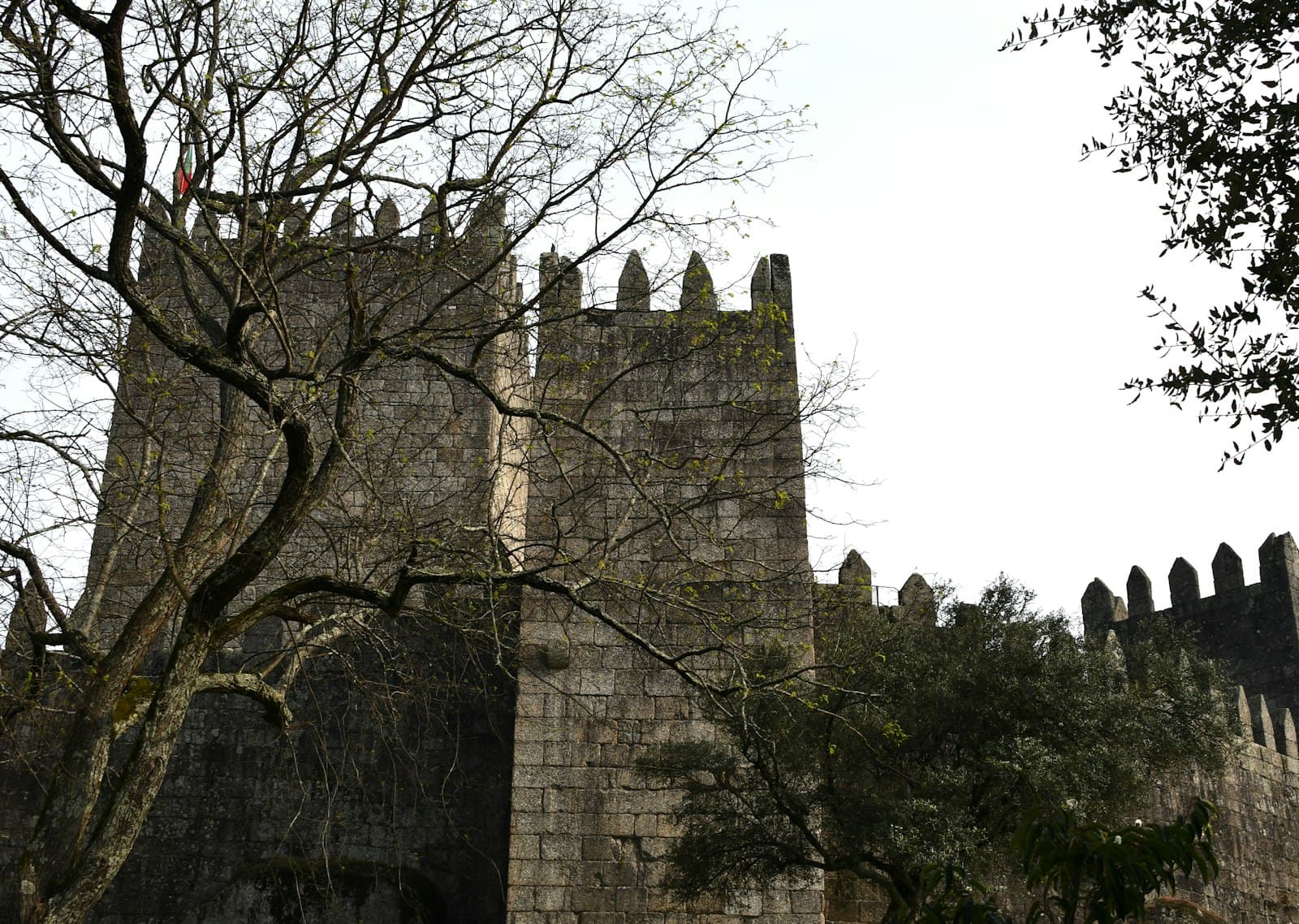 Guimarães — a large stone castle with a tree in front of it