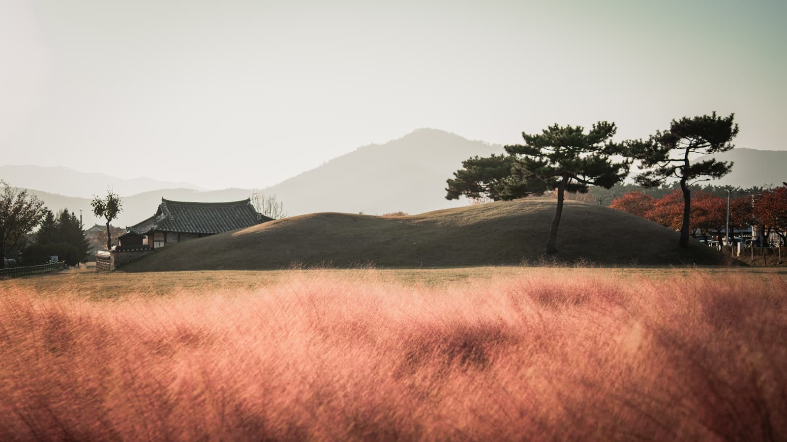 Gyeongju — a field of grass with trees and a building in the background