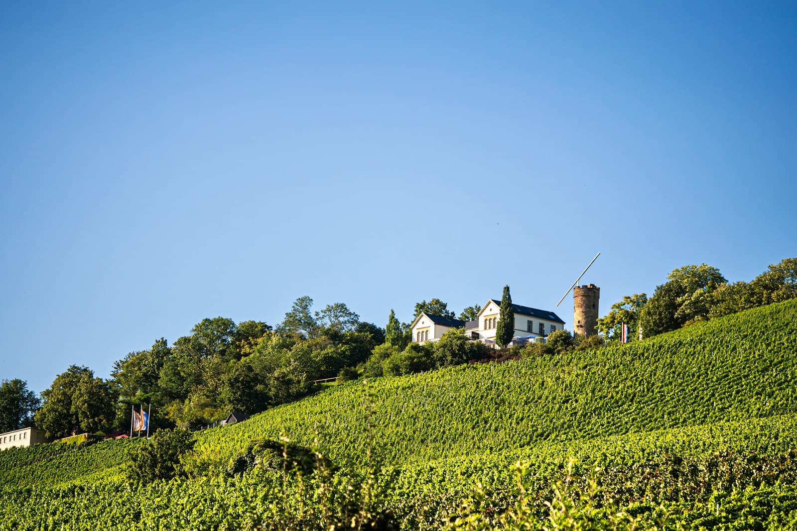 Heilbronn — A building on a grassy hill under a clear blue sky