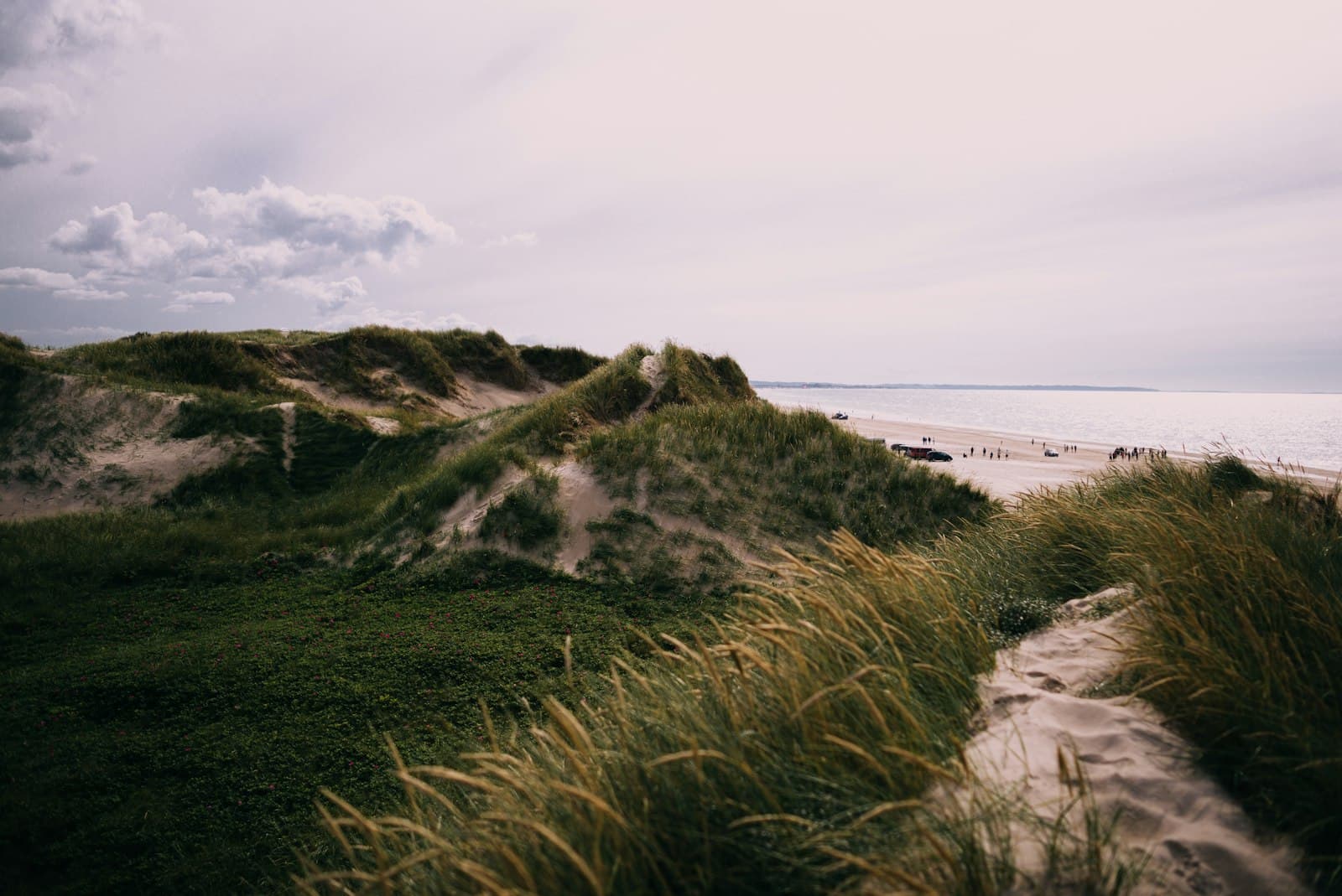 Hillerød — mountain covered by grass beside the seashore