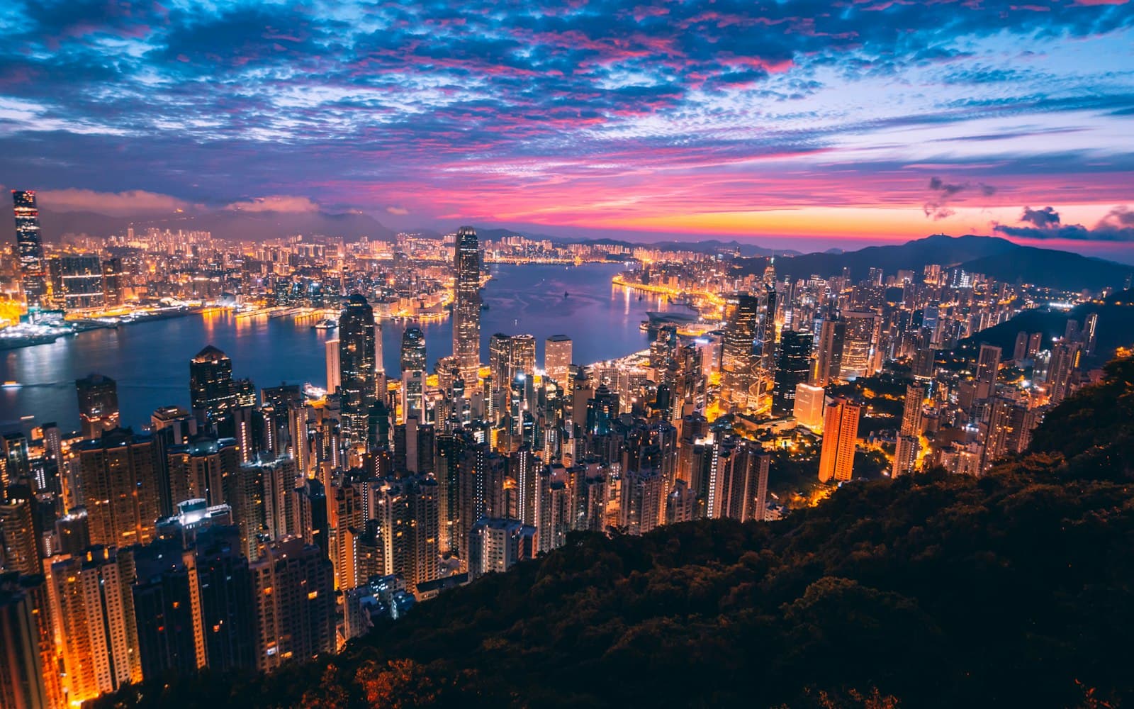 Hong Kong — aerial photography of city buildings