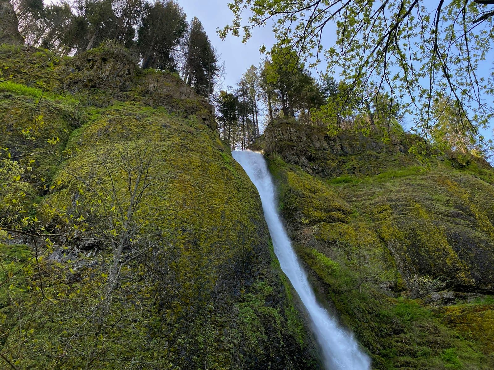 Hood River — a waterfall in a forest