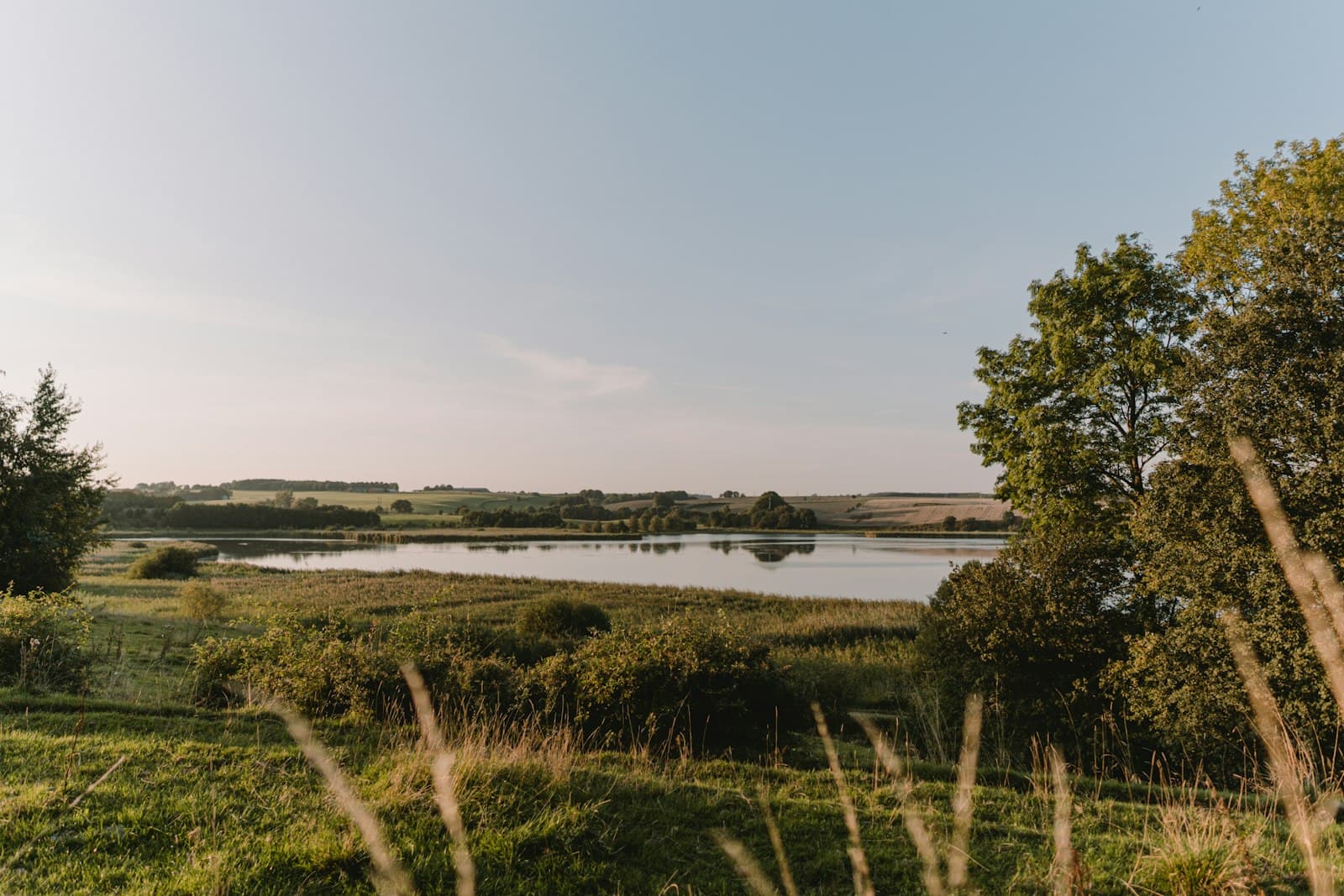 Horsens — green grass field