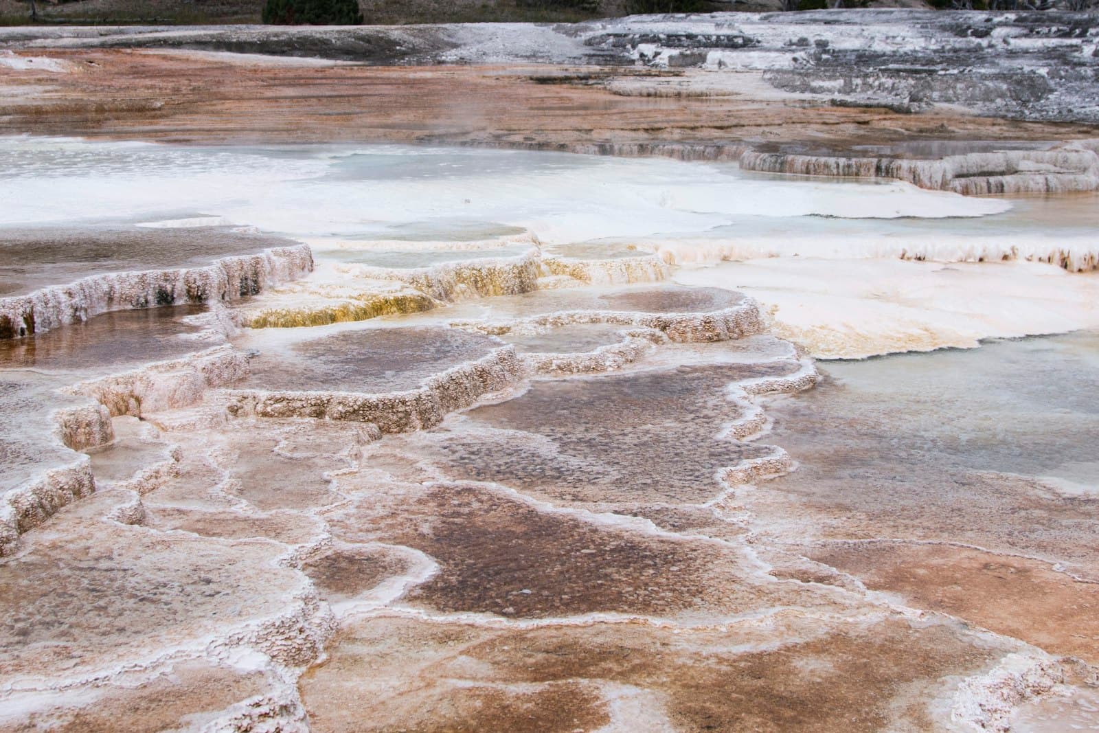 Hot Springs — brown and white water waves