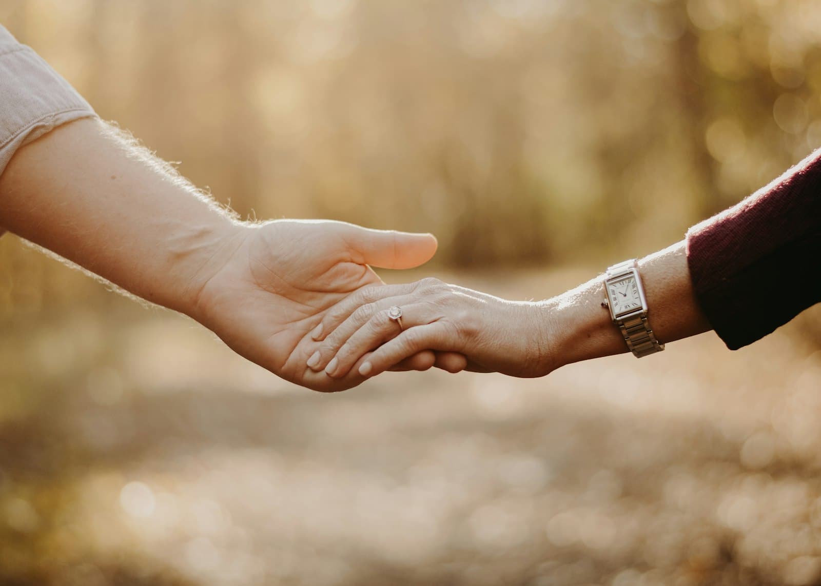 Hot Springs — a close up of two people holding hands