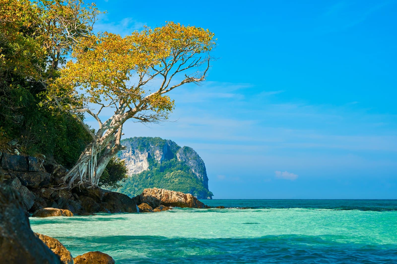 Hua Hin — green leafed trees and body of water