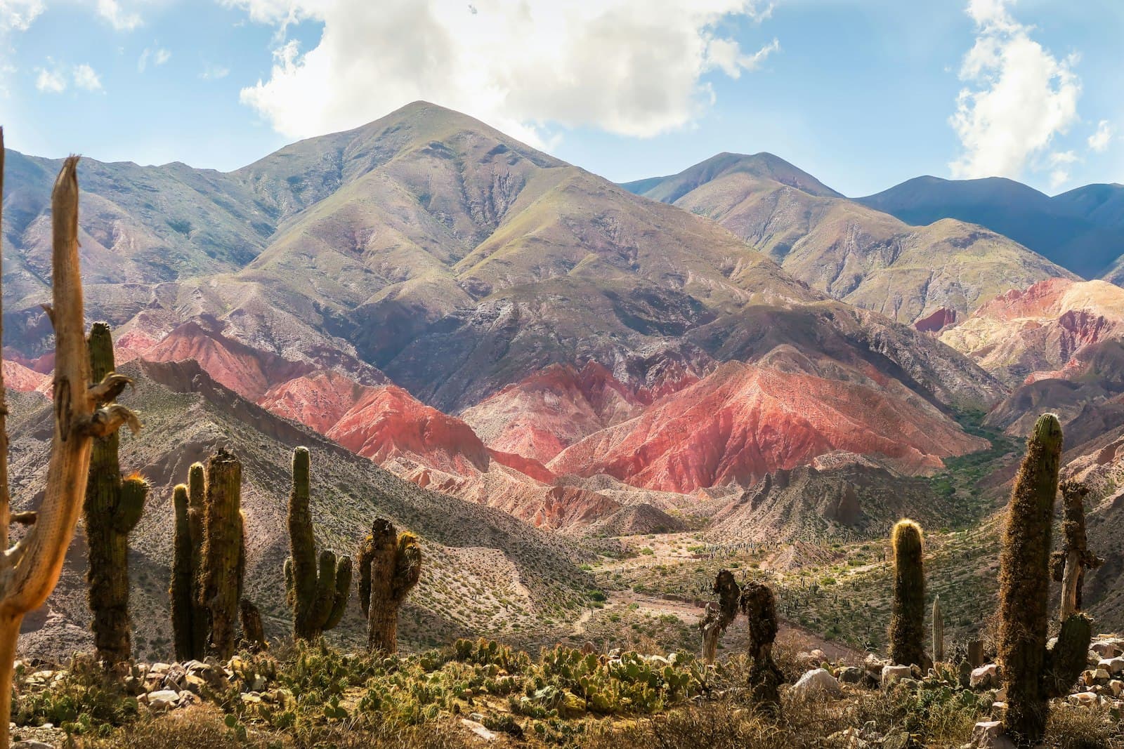 Humahuaca — green grass field near brown mountain during daytime