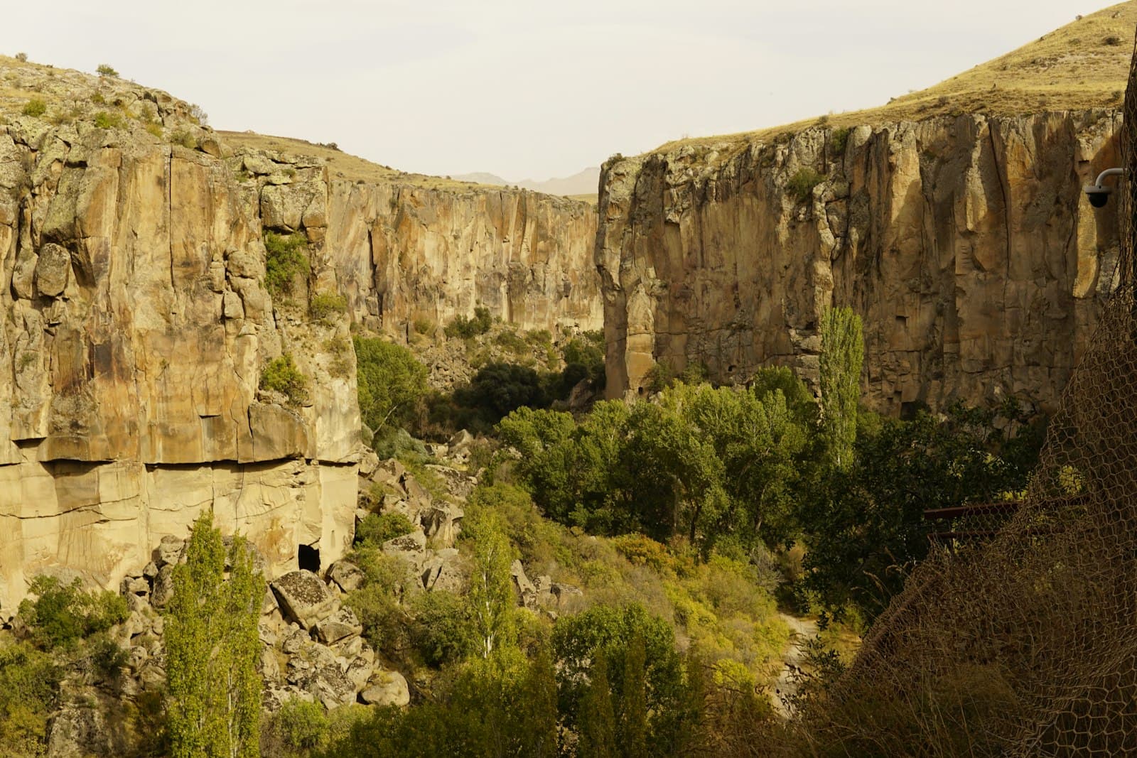 Ihlara — green trees on brown rocky mountain during daytime