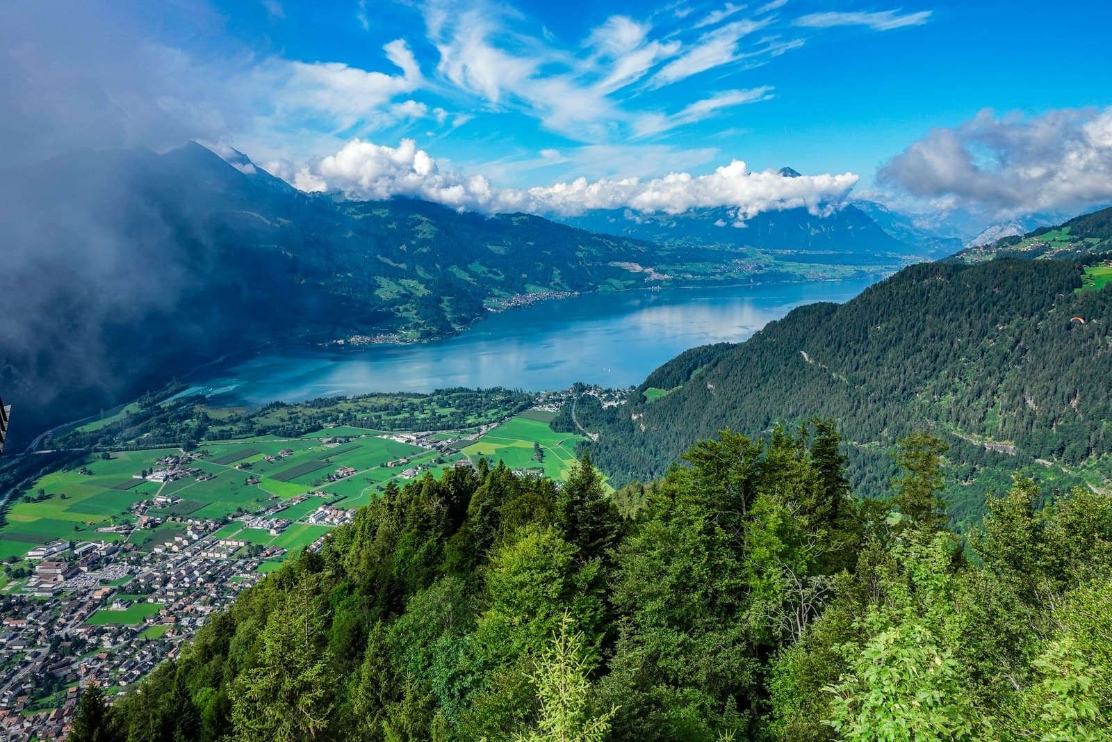 Interlaken — buildings on grass and forest island during day