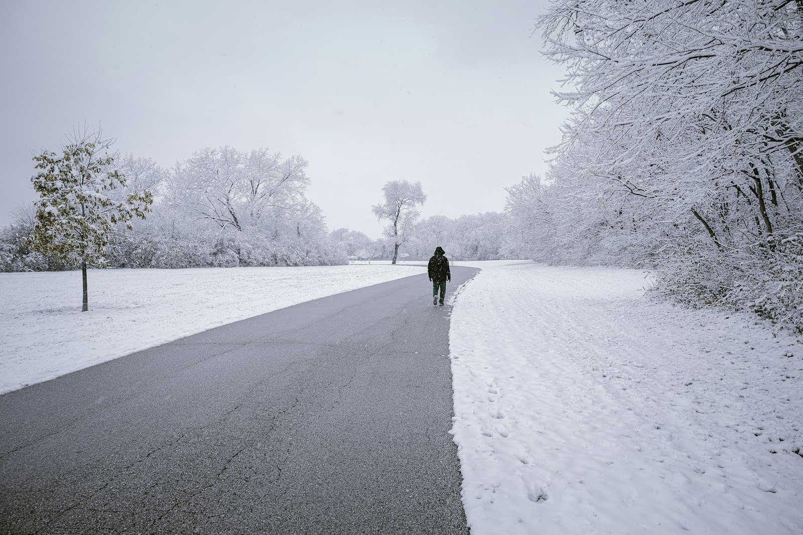 Iowa City — a person walking on a snowy road