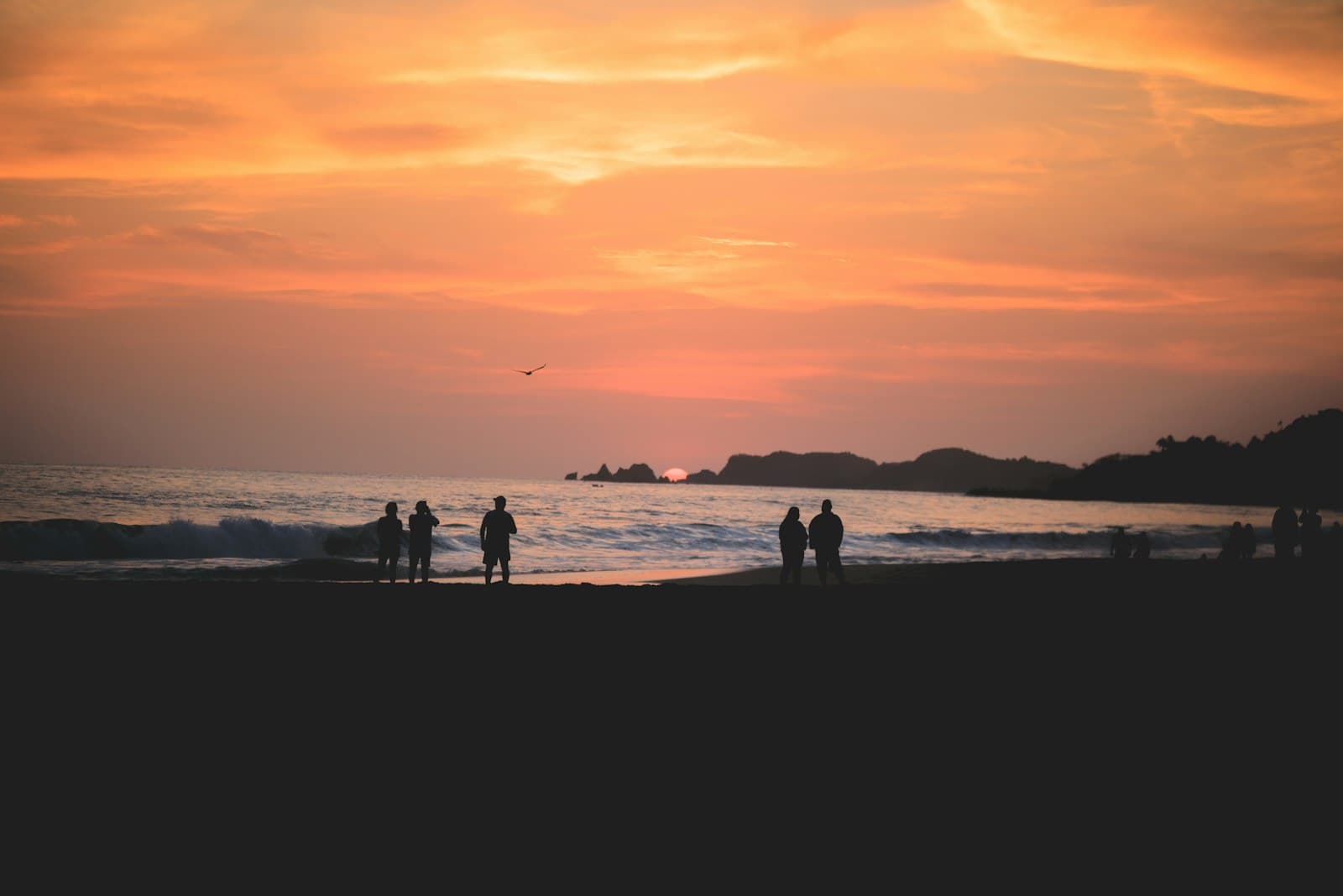 Ixtapa — silhouette of people on beach during sunset