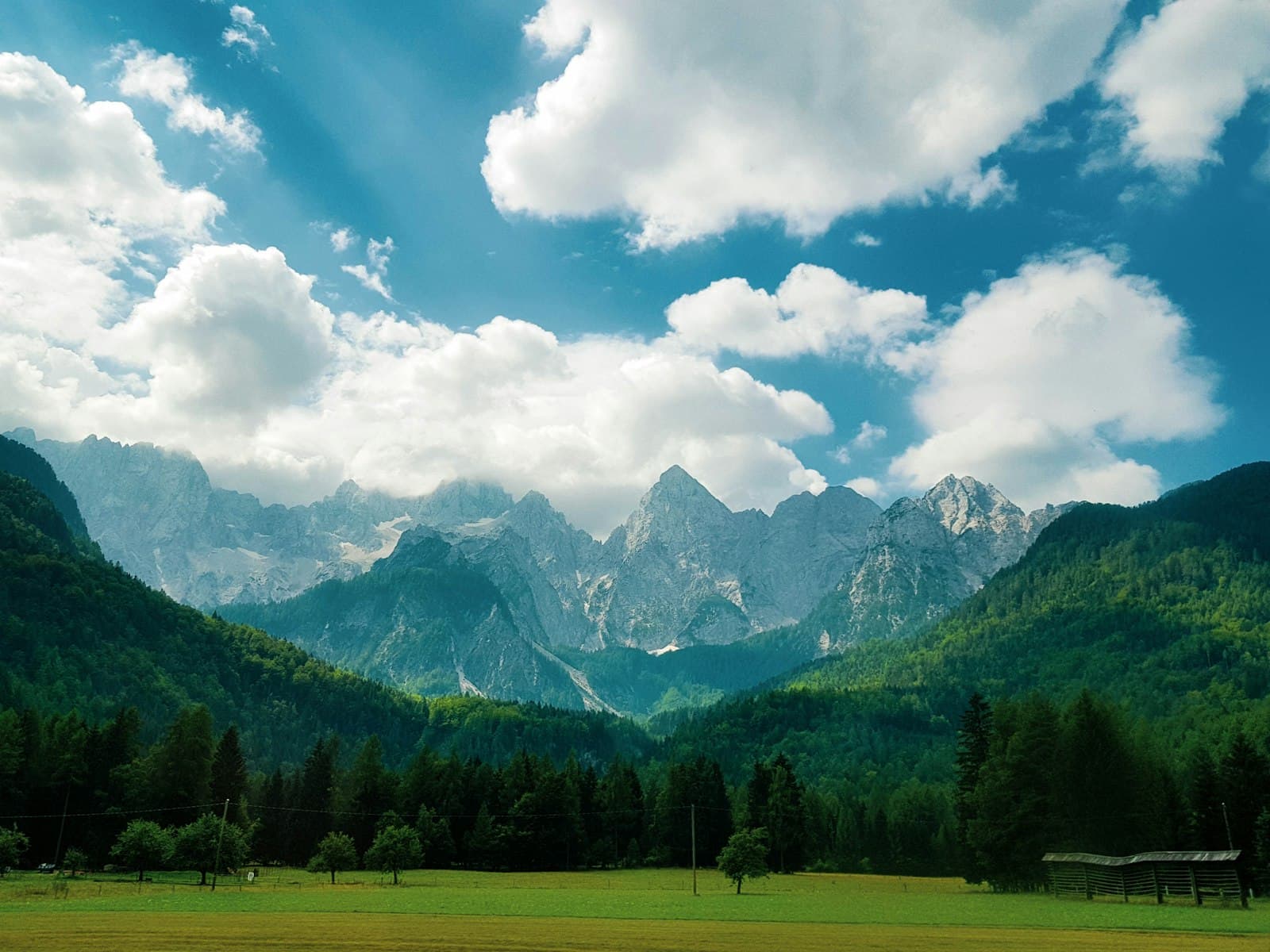 Izola — green trees and mountains under blue sky and white clouds during daytime