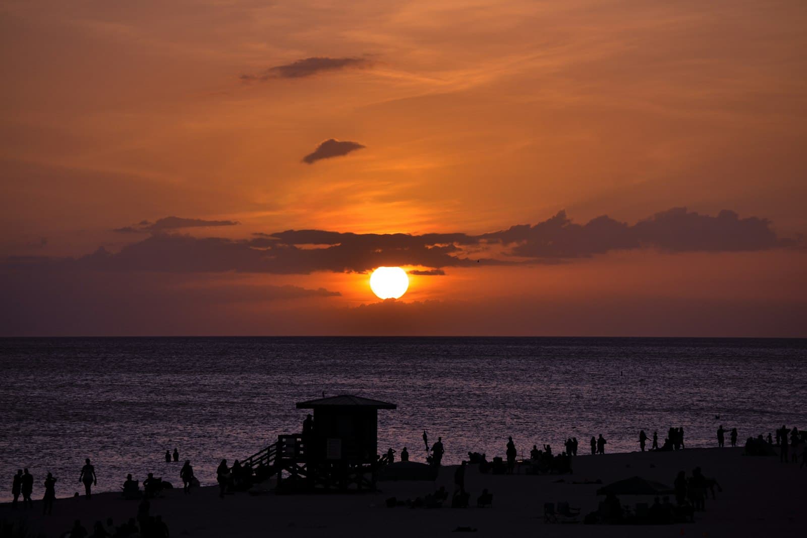 Jacksonville — silhouette of people on beach during sunset