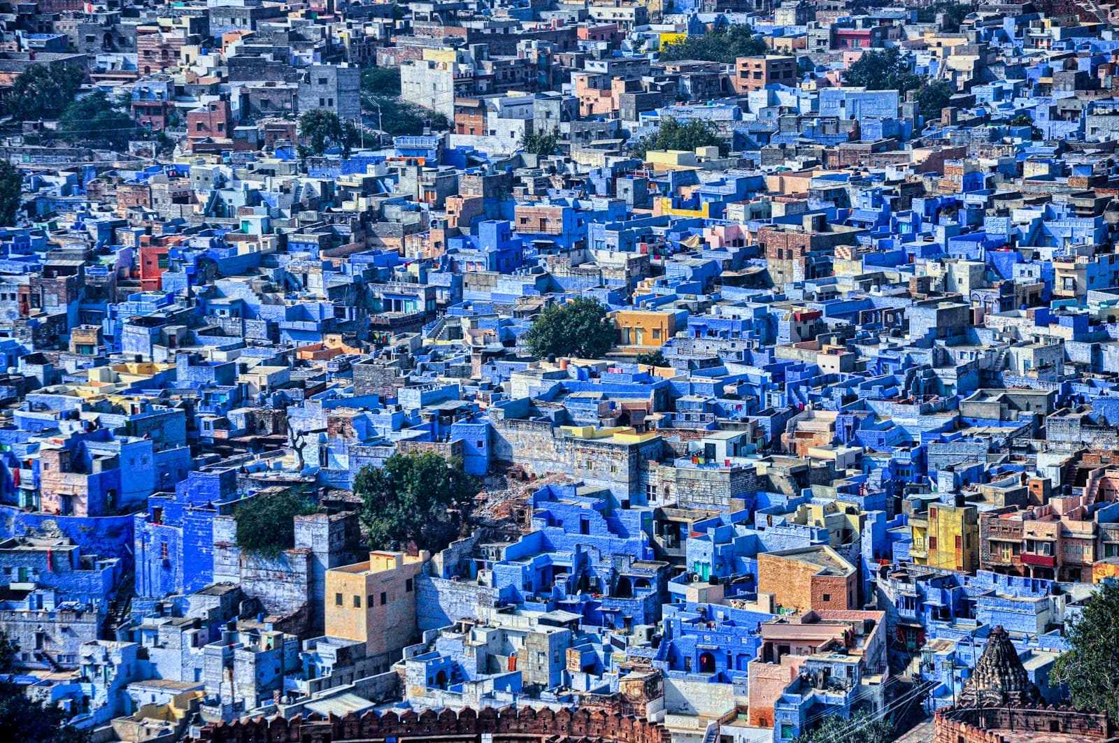 Jodhpur — a large group of blue buildings in a city