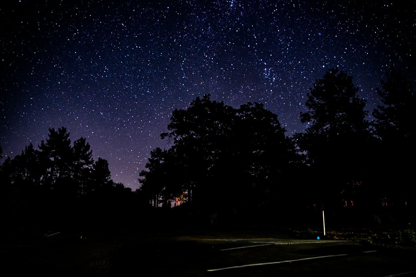 Julian — The night sky is filled with stars and trees