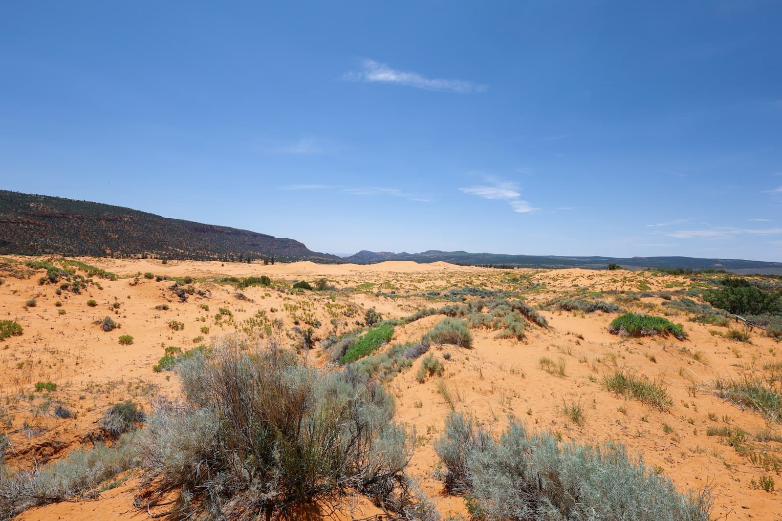 Kanab — A desert area with sparse grass and bushes