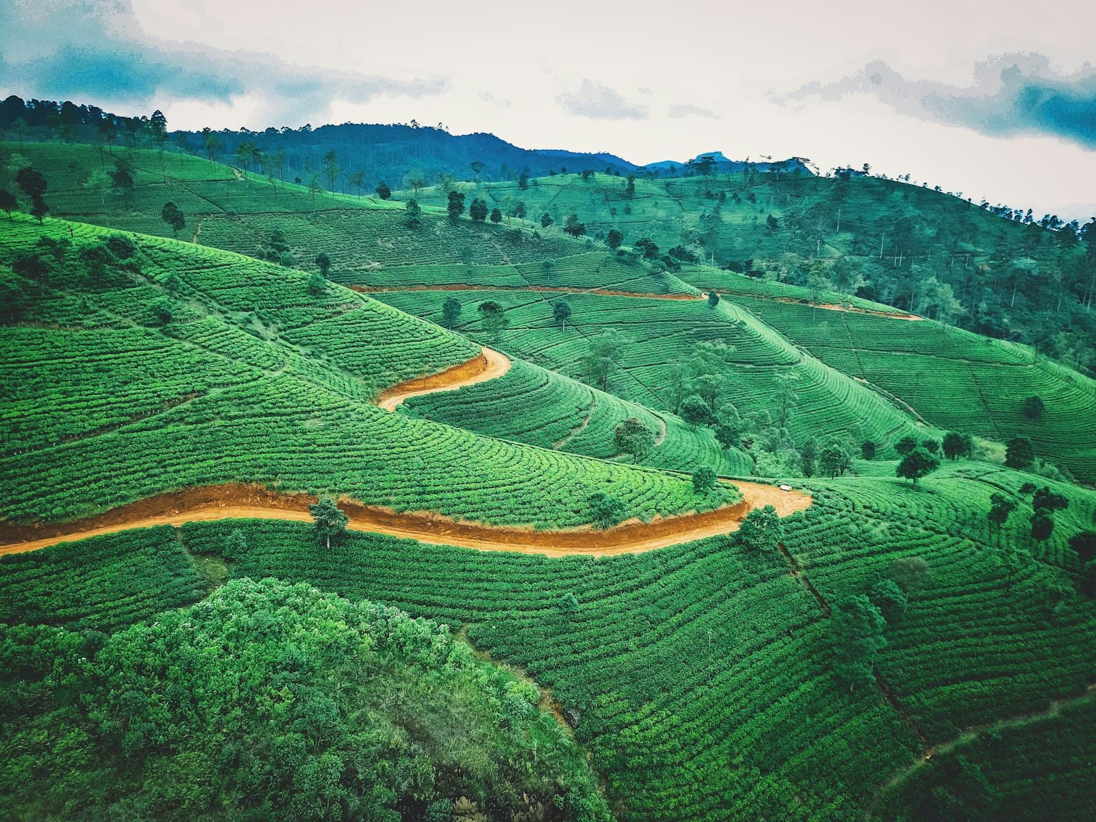 Kegalle — aerial photography of green fields during daytime
