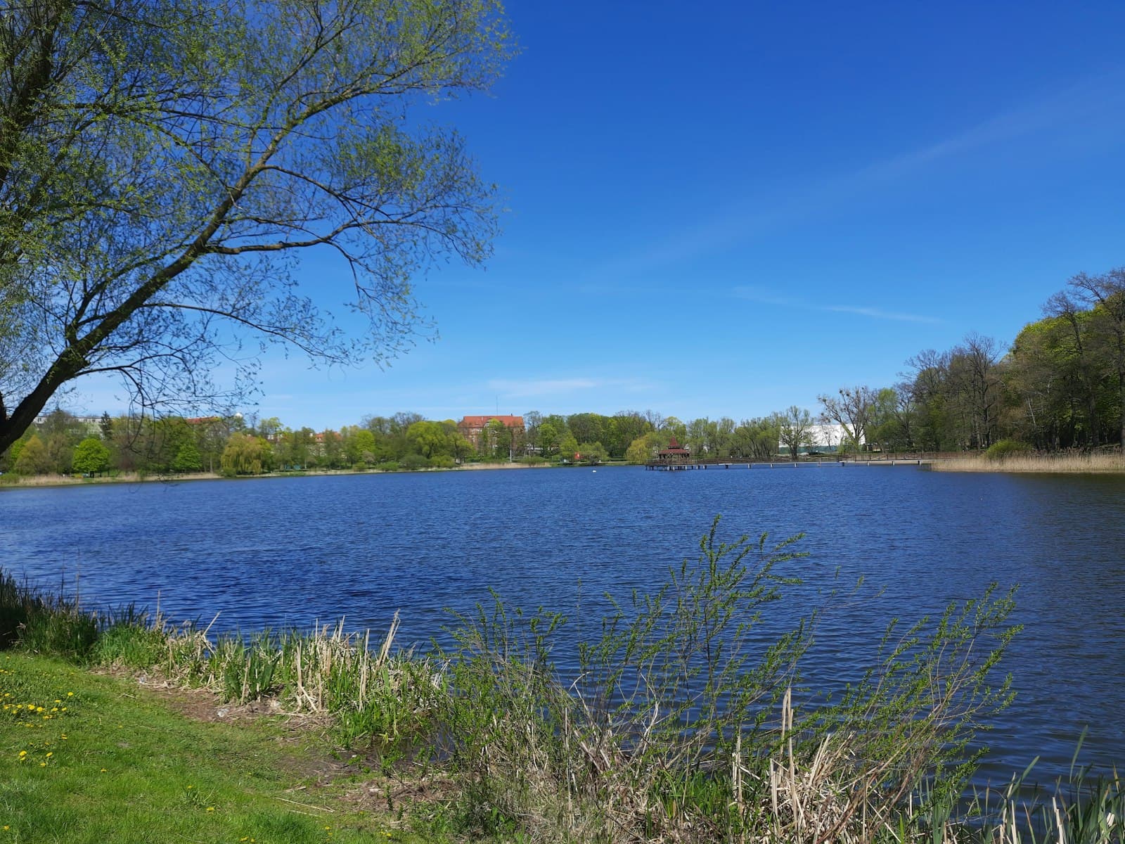 Kętrzyn — a body of water with grass and trees around it