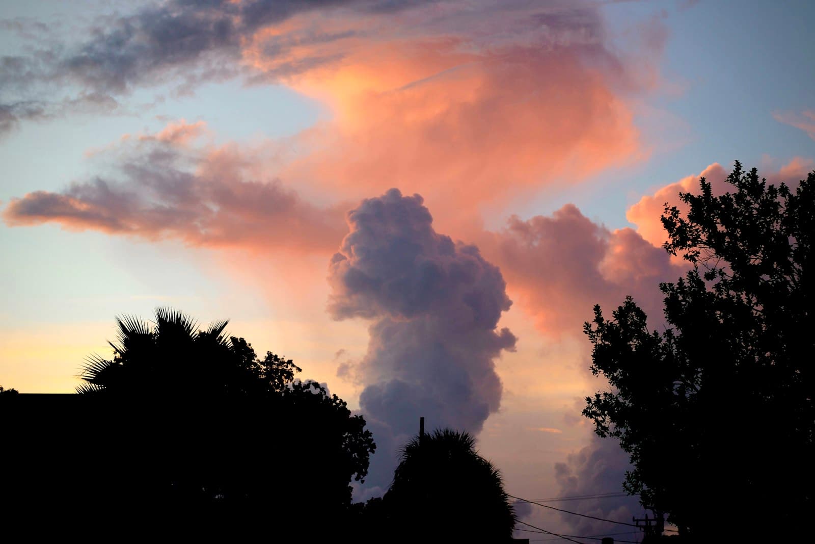 Key West — Pink and purple clouds at sunset with silhouetted trees.
